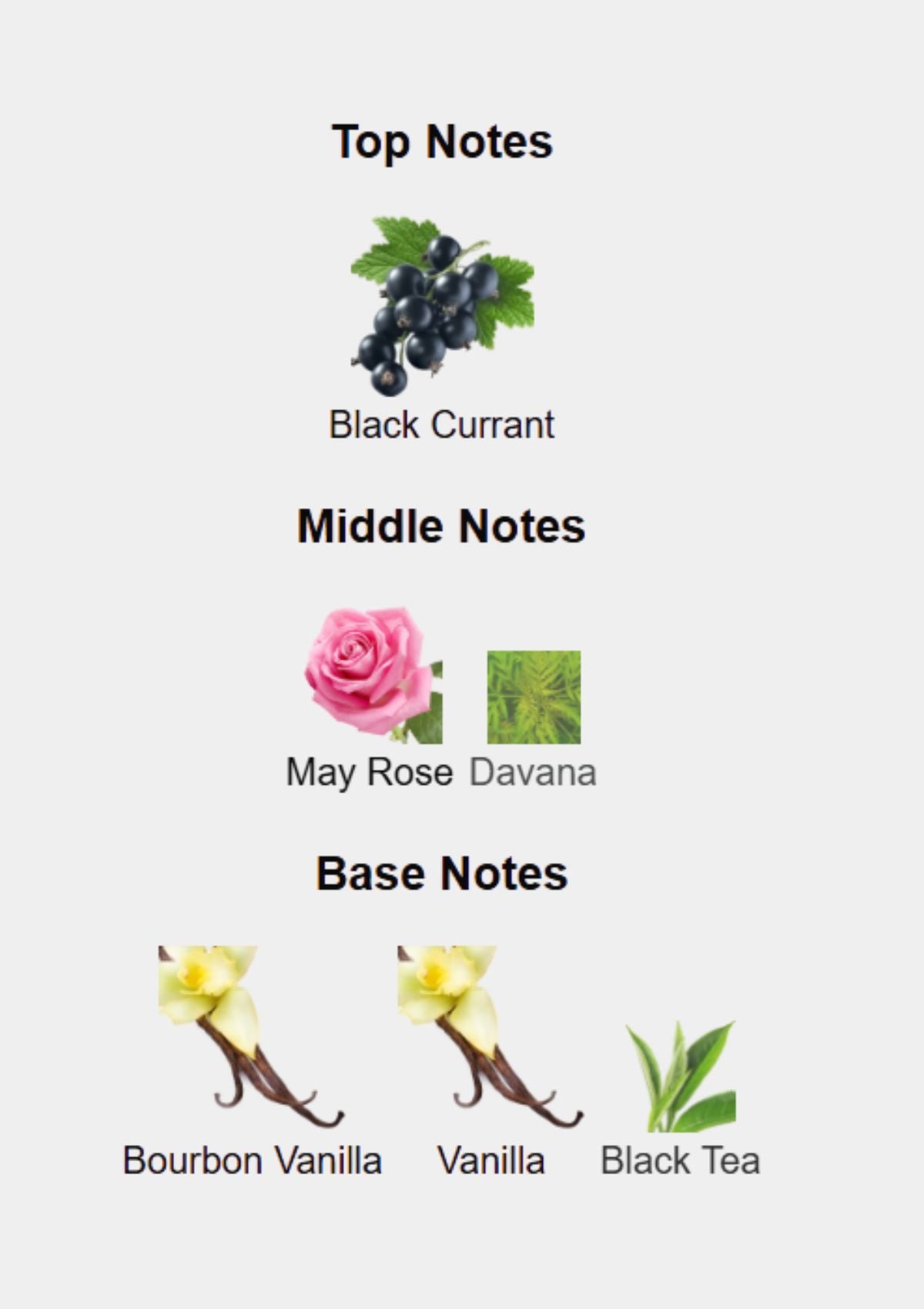 Giorgio Armani Si Intense for Women EDP 100mL