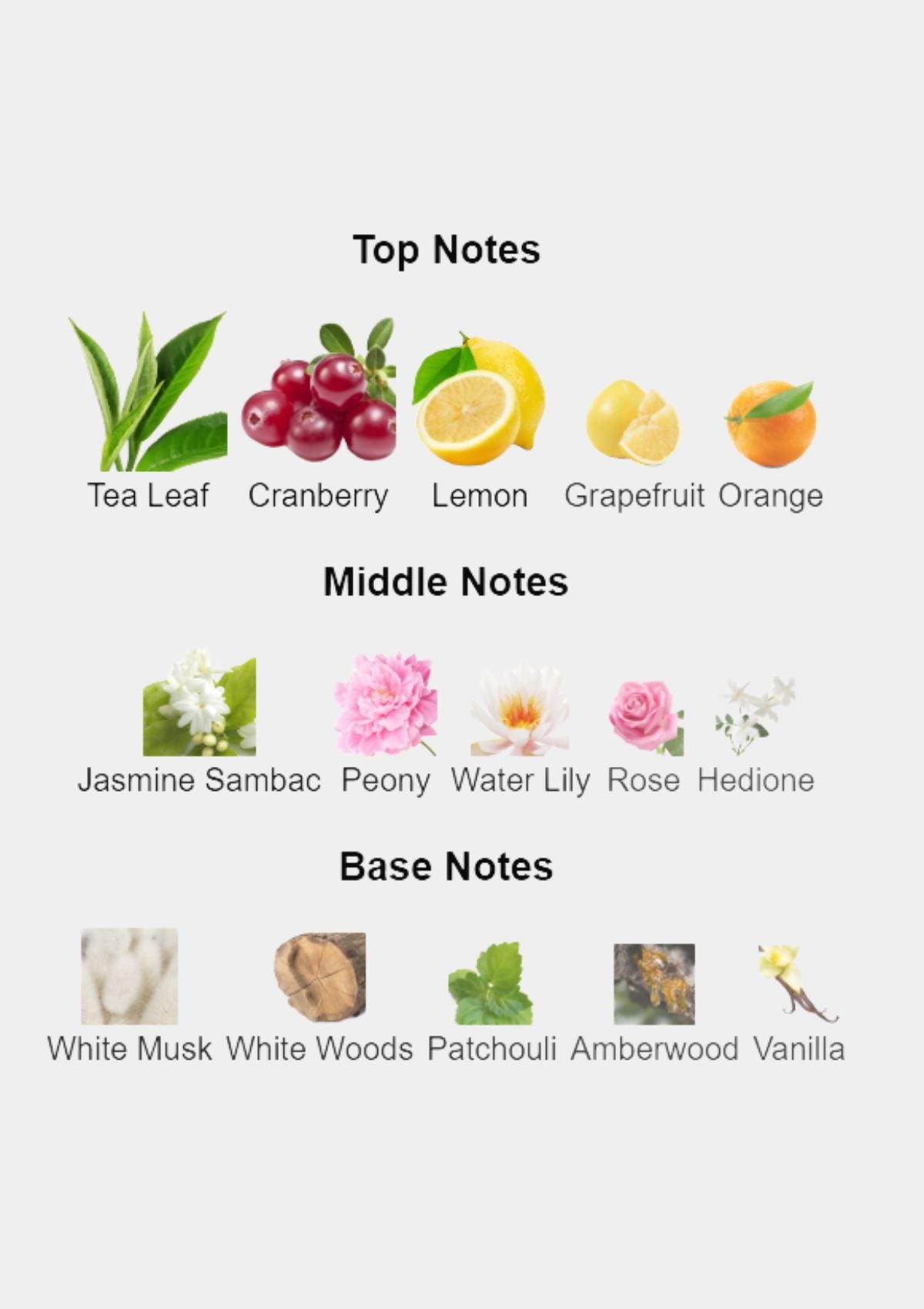 Givenchy Ange Ou Demon Le Secret for Women EDP 100mL