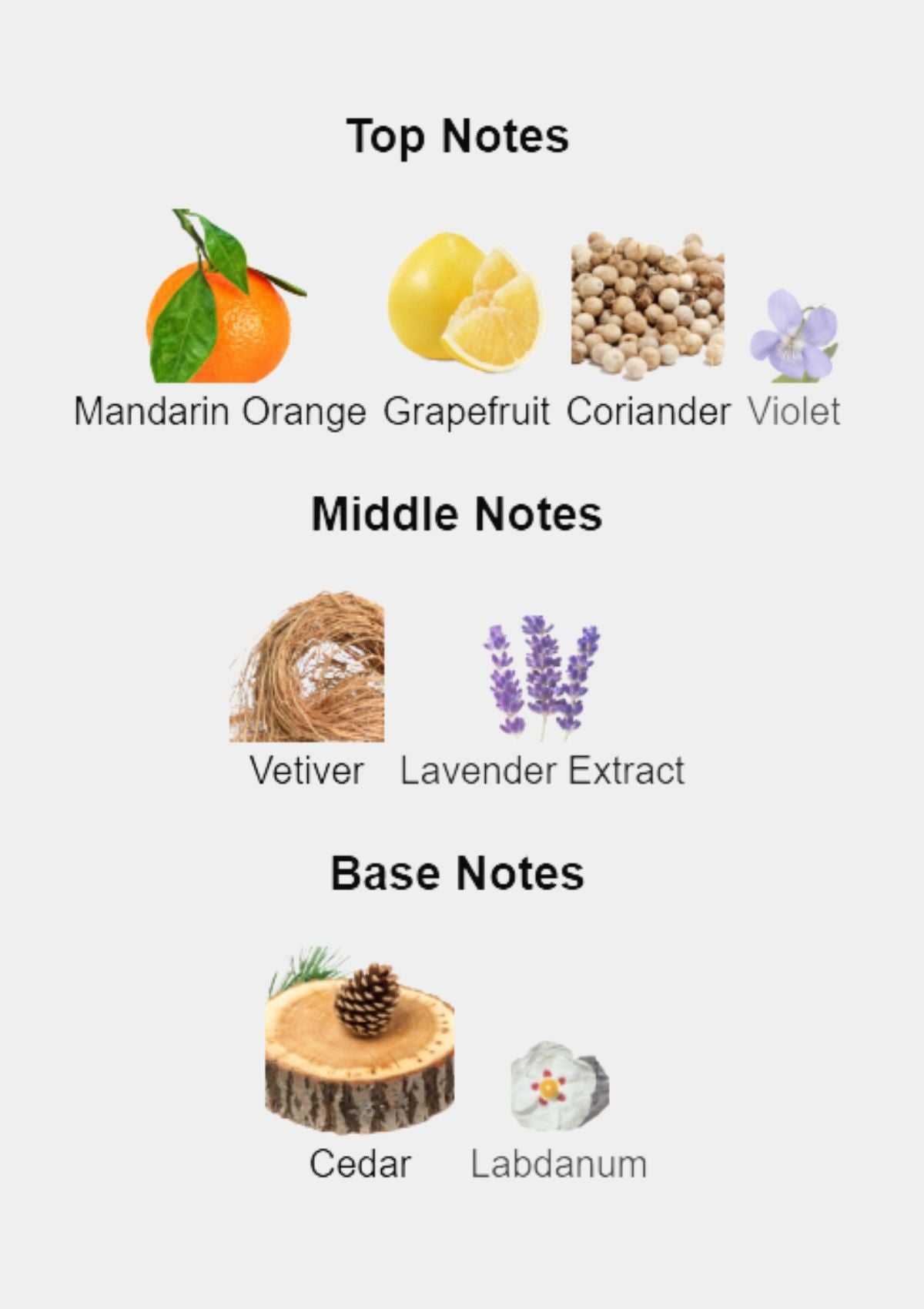 Givenchy Pour Homme for Men EDT 100mL