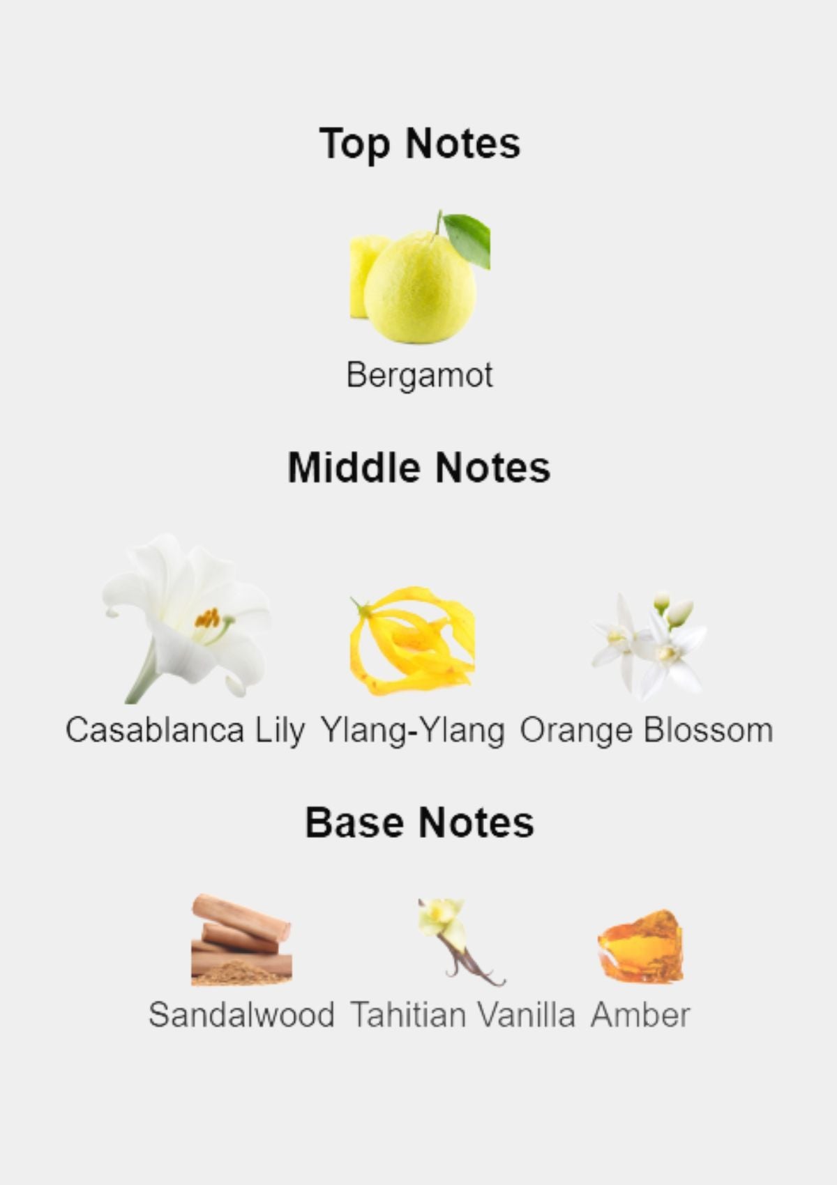 Gucci Bamboo for Women EDP 75mL