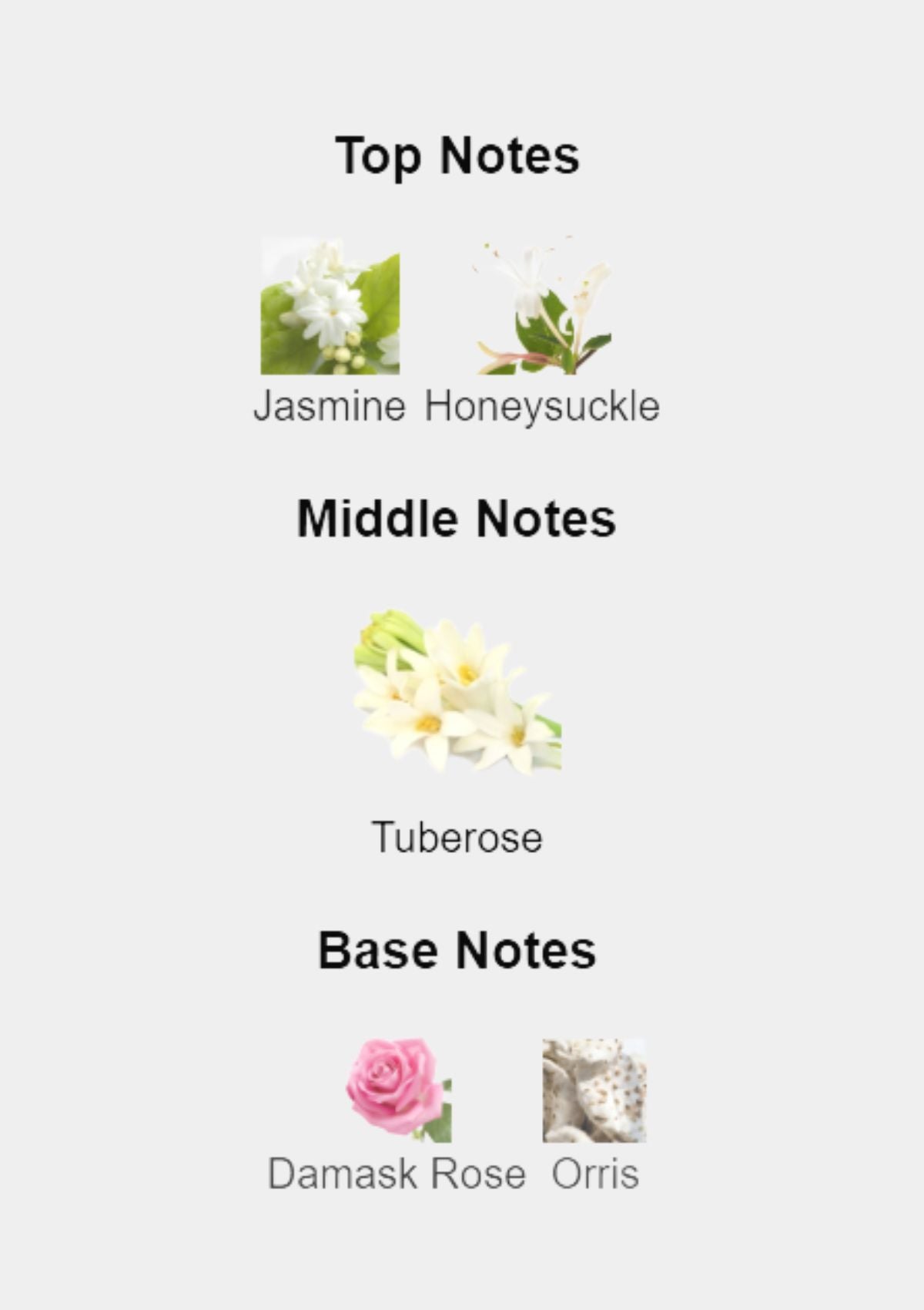 Gucci Bloom Ambrosia di Fiori for Women EDP 100mL