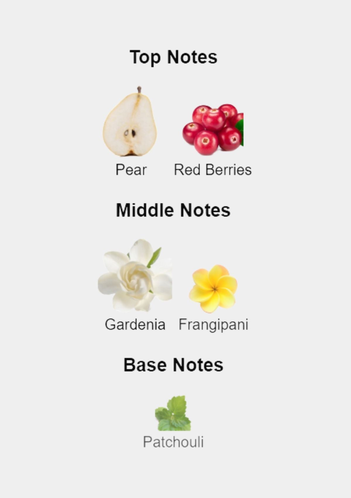 Gucci Flora Gorgeous Gardenia for Women EDT 100mL