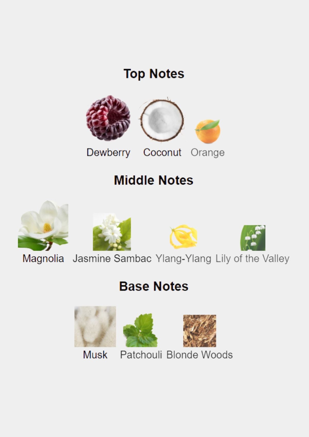 Gucci Flora Gorgeous Magnolia for Women EDP 100mL