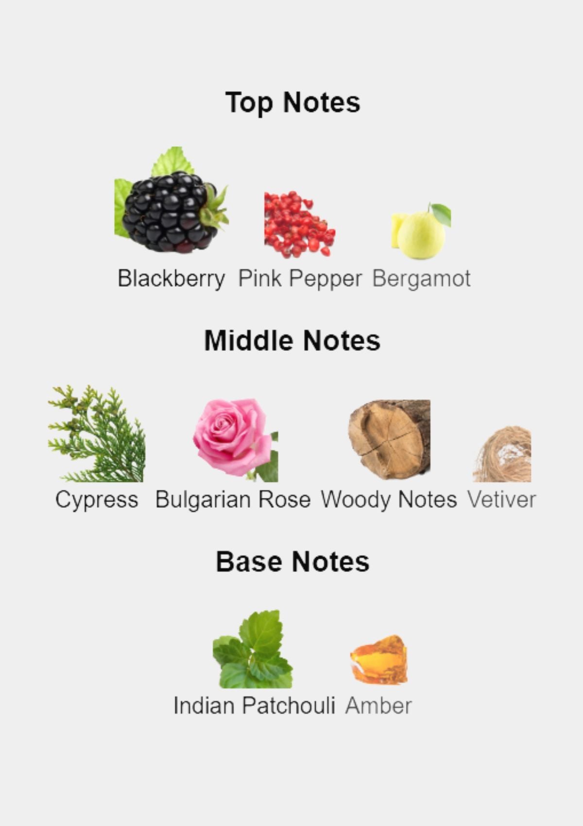 Gucci Guilty Absolute Pour Femme for Women EDP 90mL