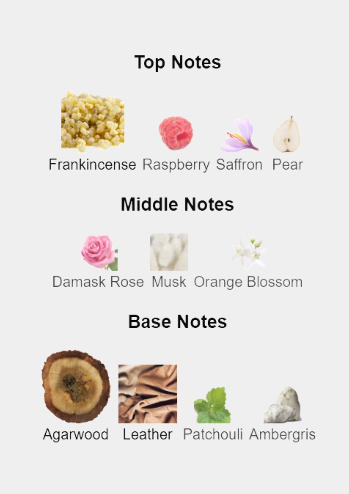 Gucci Intense Oud for Unisex EDP 90mL