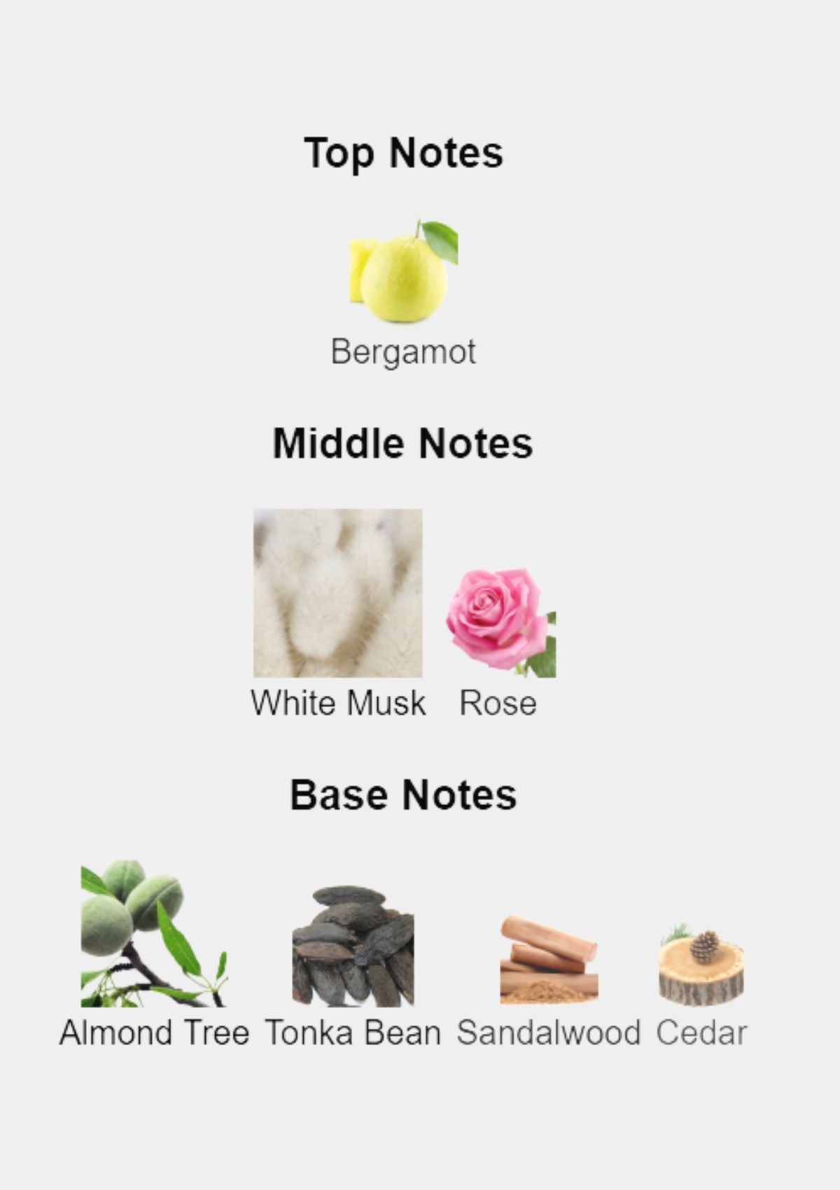 Guerlain L'Instant Magic for Women EDP 75mL