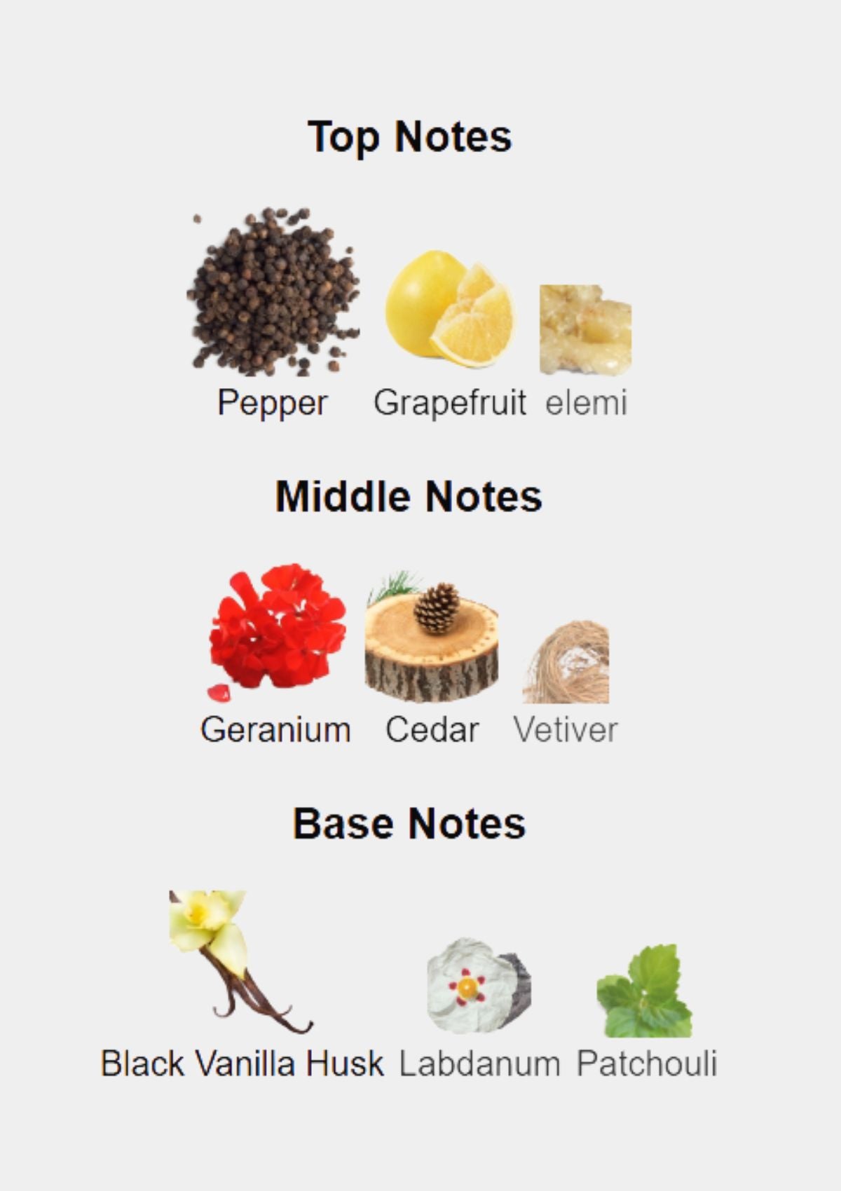 Guess Night for Men EDT 100mL