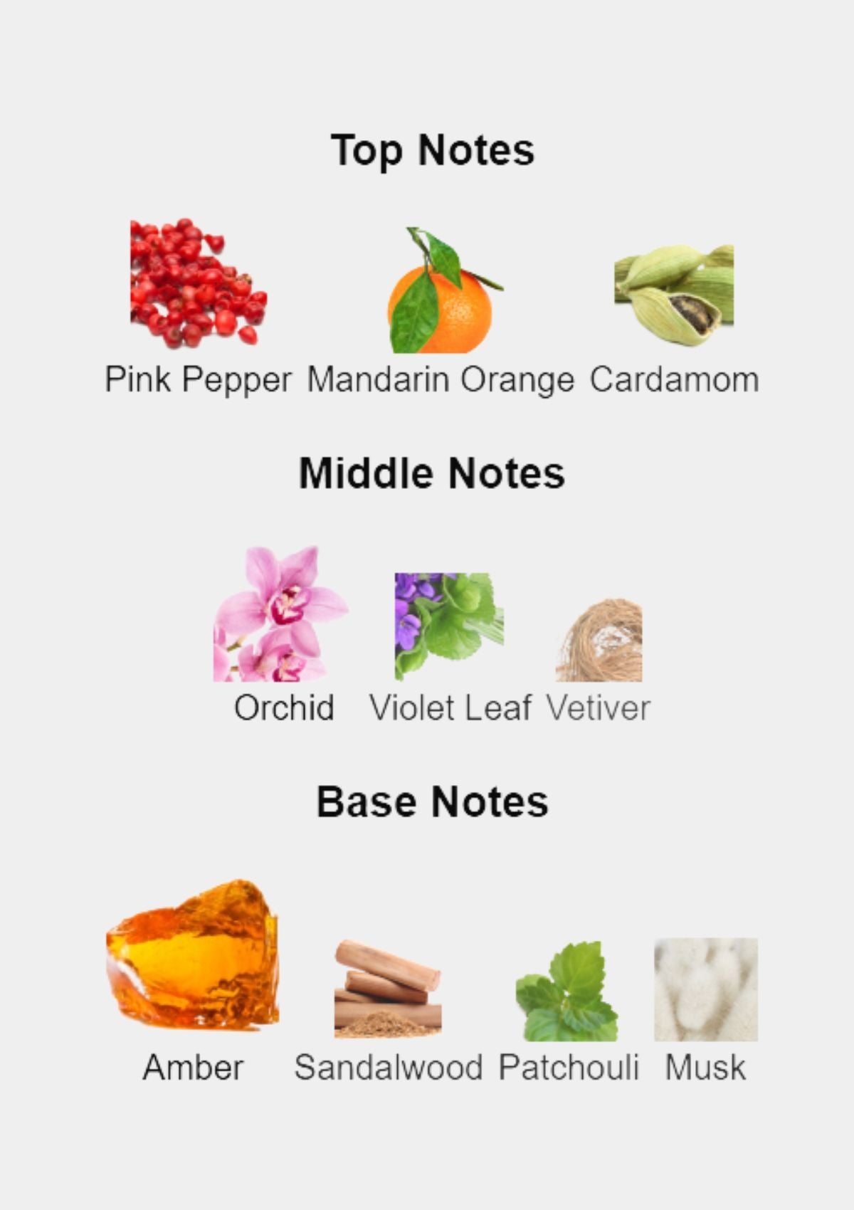 Guess Seductive Homme for Men EDT 100mL