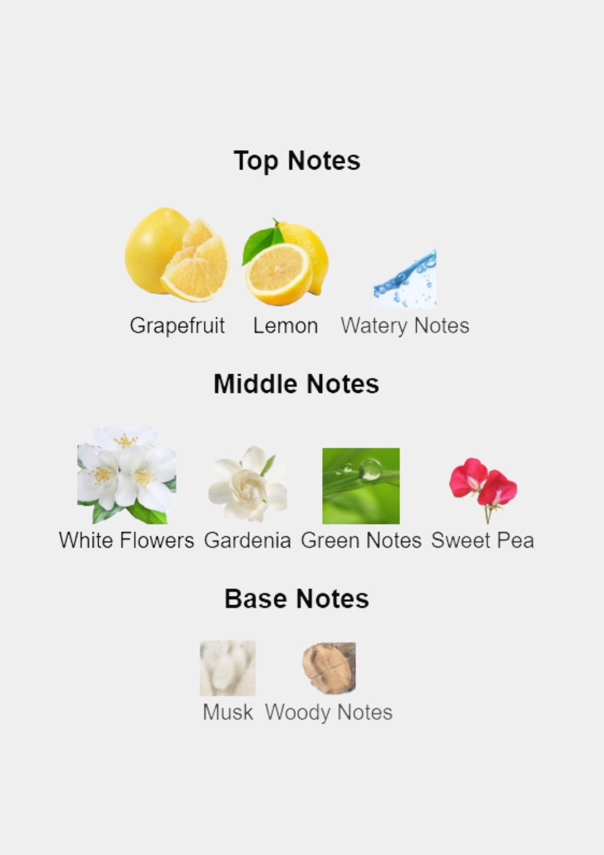 Hermes Jour D'Hermes for Women EDP 85mL