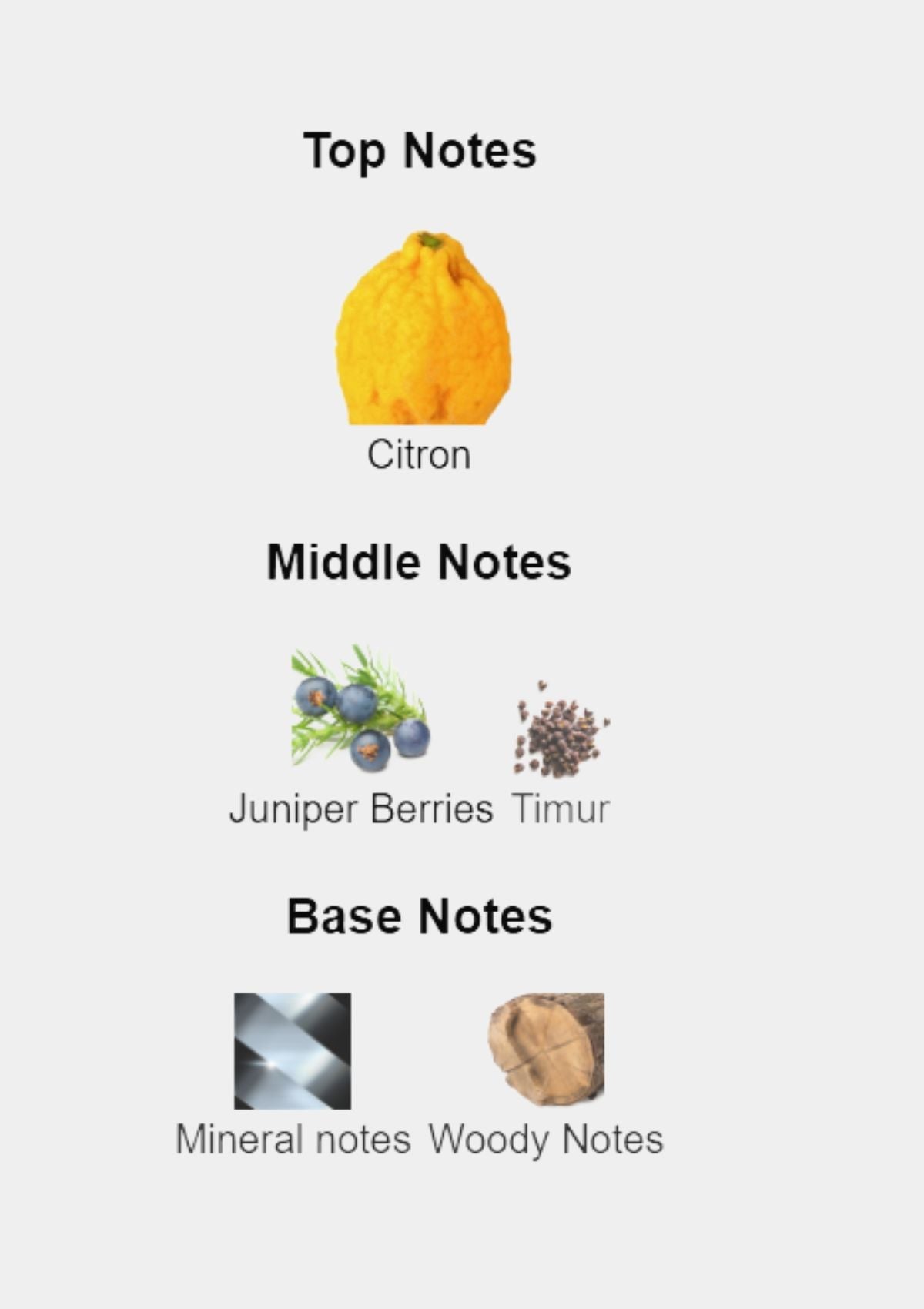 Hermes Terre D' Eau Givree for Men EDP 100mL