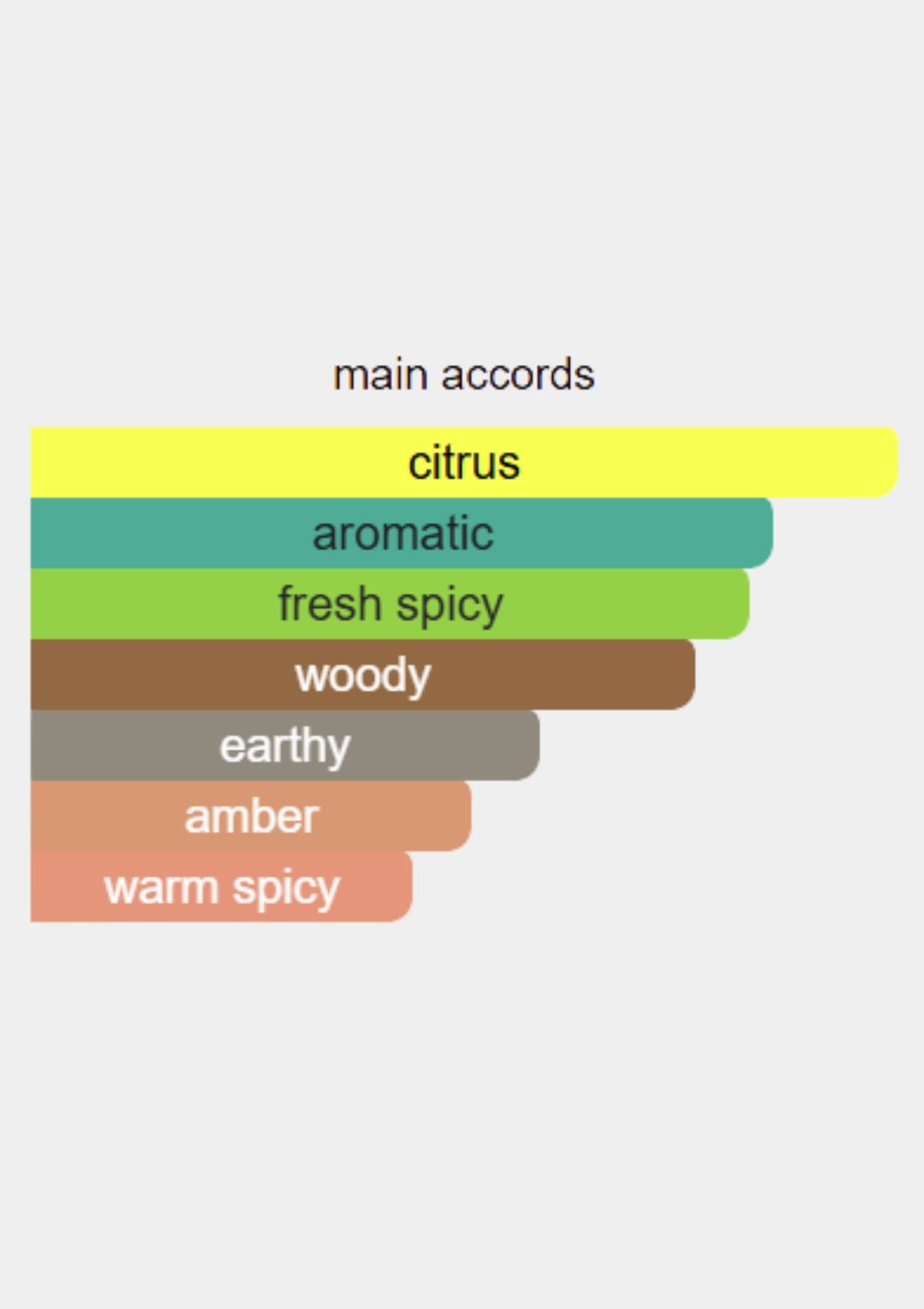 Hermes Terre D'Hermes Eau Intense Vetiver for Men EDP 100mL