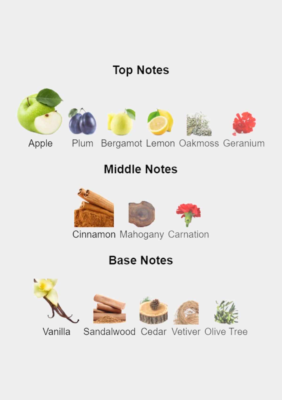 Hugo Boss Bottled No.6 for Men EDT 200mL