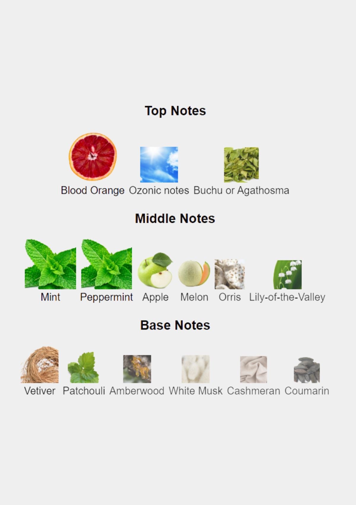 Hugo Boss Bottled United for Men EDT 100mL