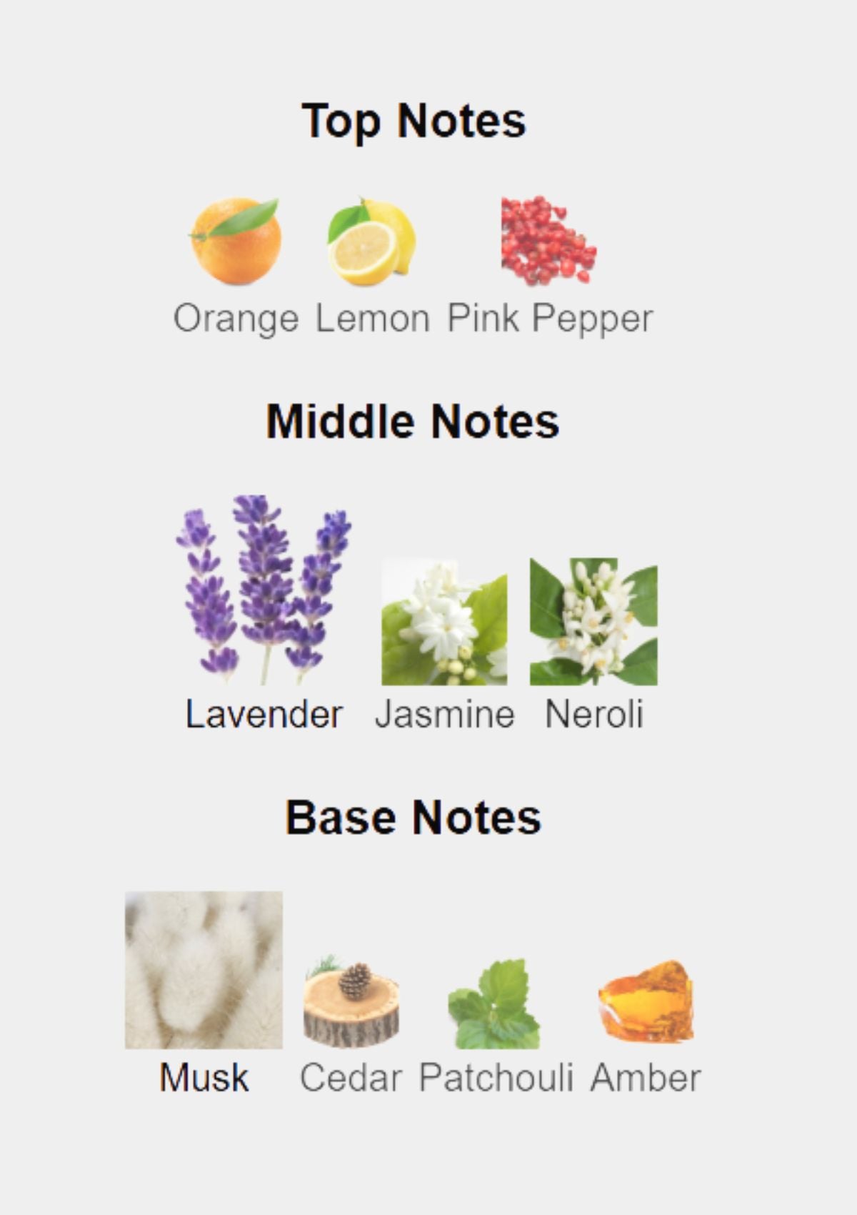 Jaguar Vision Sport for Men EDT 100mL