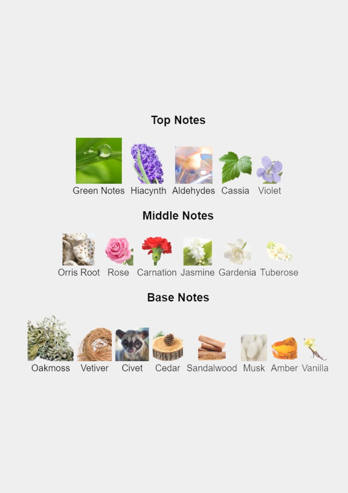 Jean Louis Scherrer for Women EDT 100mL