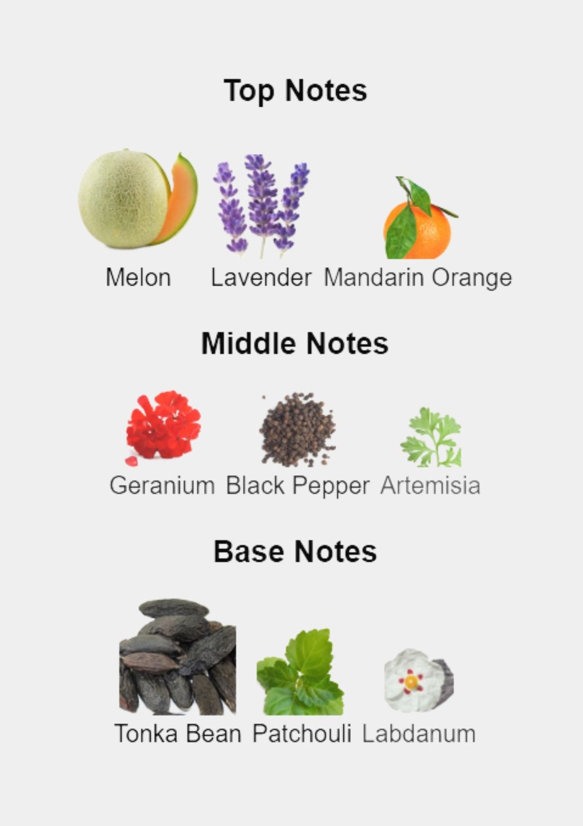 Jimmy Choo Man Intense for Men EDT 100mL