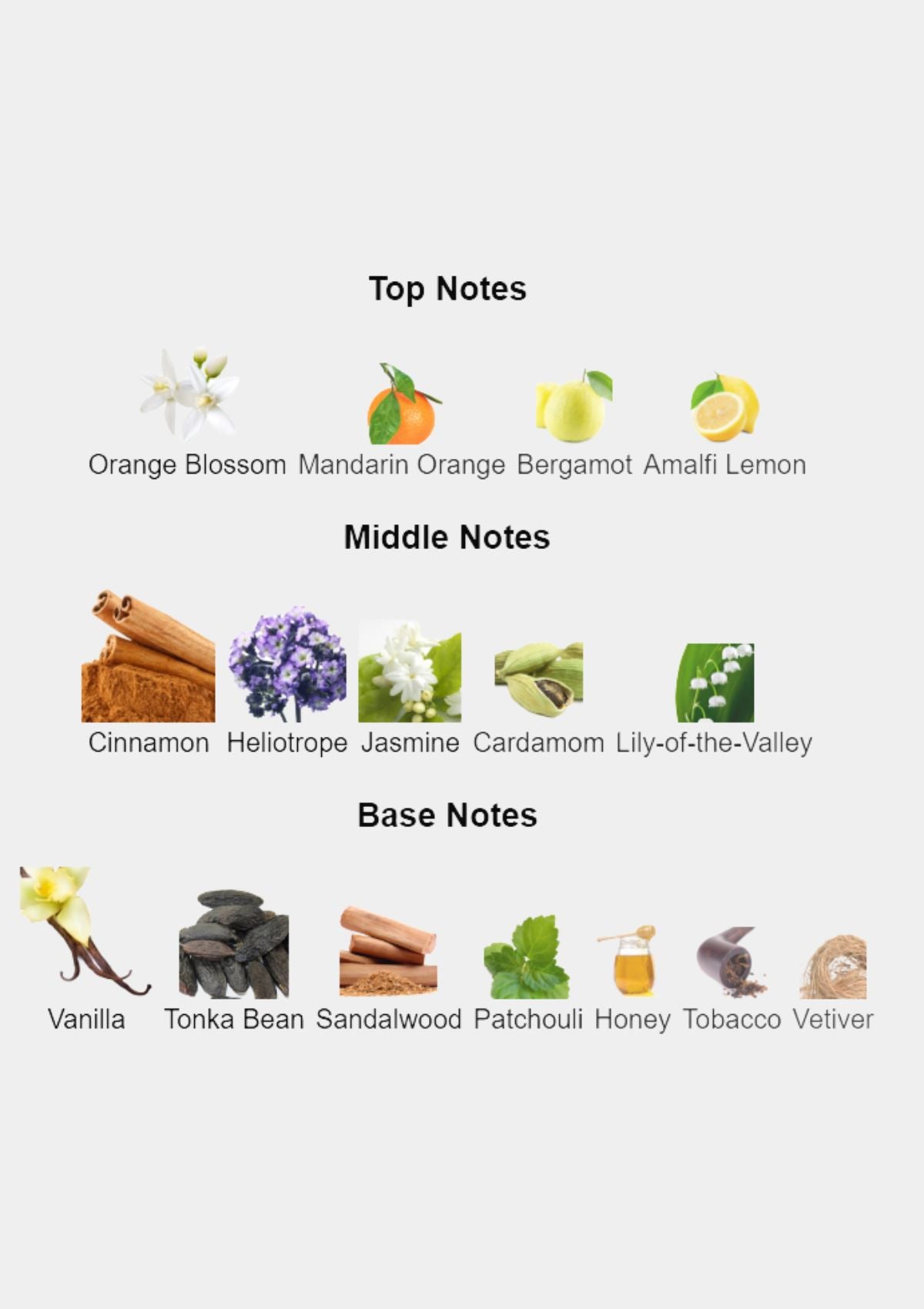 Joop Homme for Men EDT 200mL