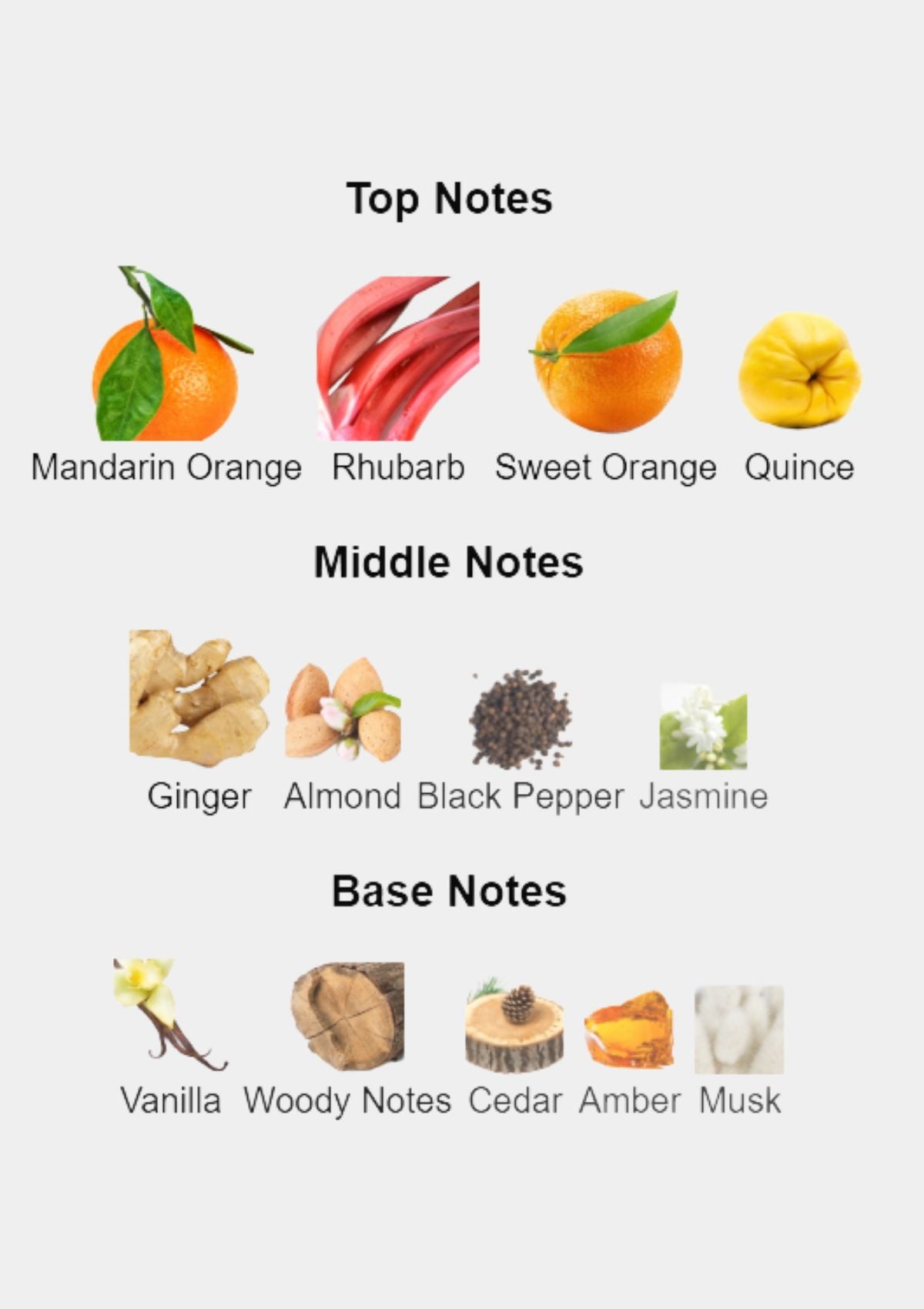 Lacoste L'Homme for Men EDT 100mL