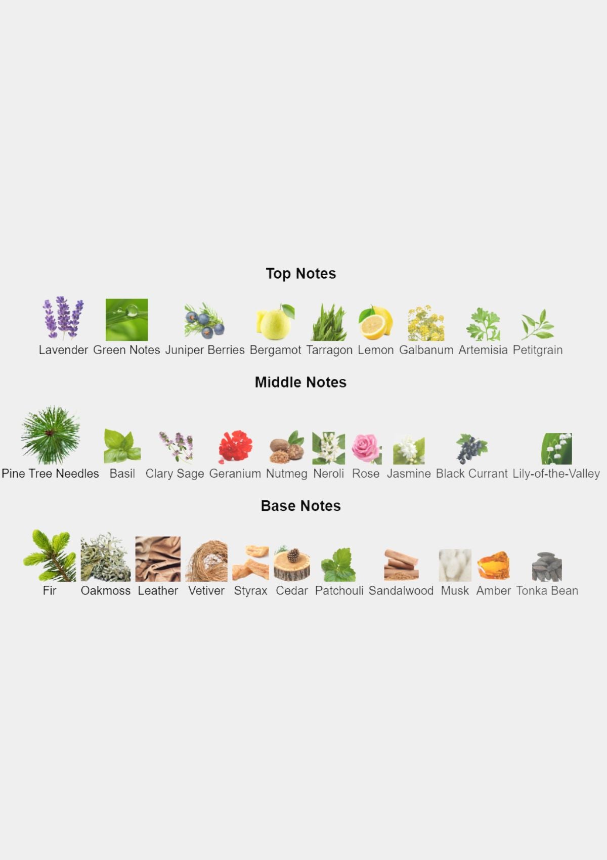 Loewe Esencia Pour Homme for Men EDT 100mL