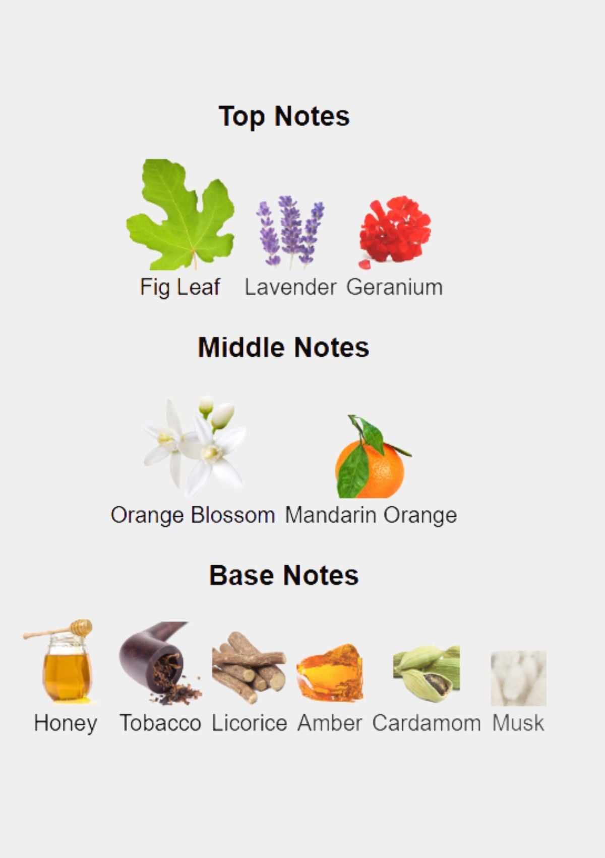 Loewe Solo Mercurio for Men EDP 100mL