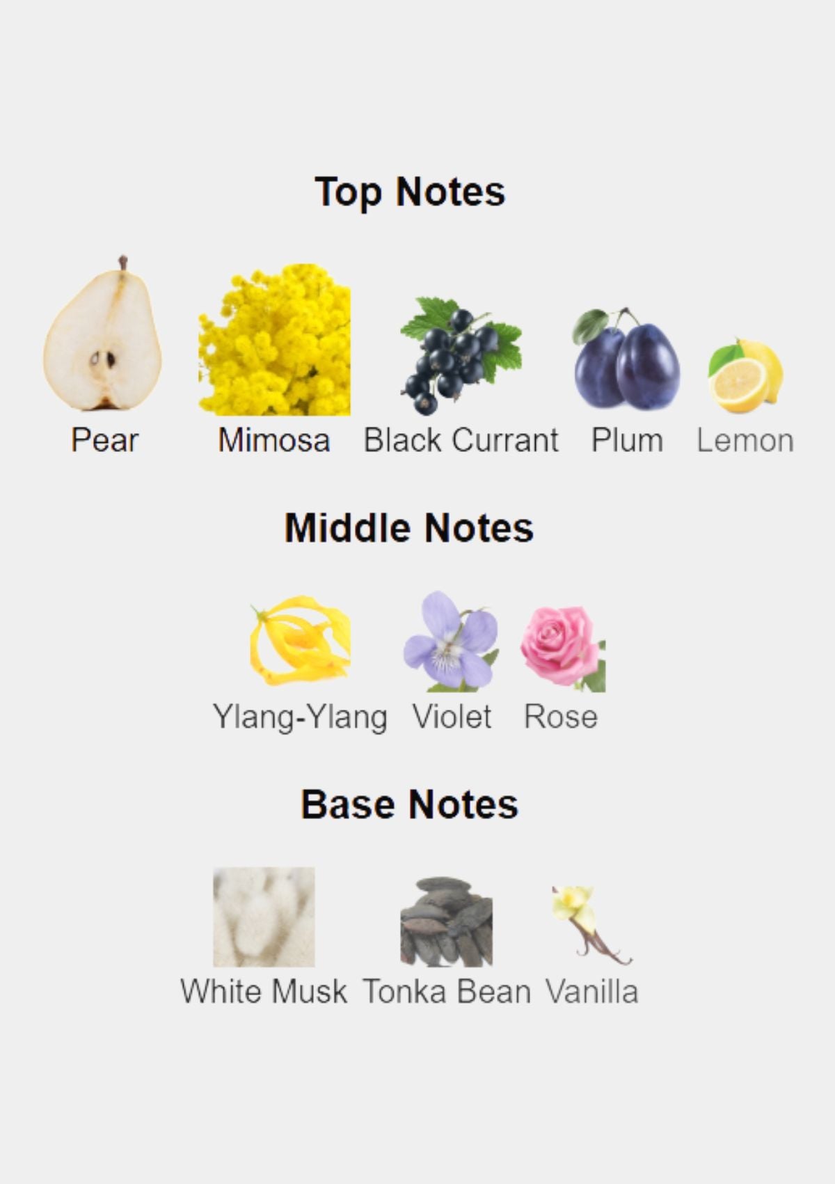 M. Micallef Ananda for Women EDP 100mL