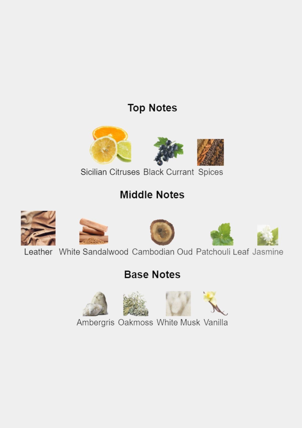 Mancera Cedrat Boise Intense for Unisex EDP 120mL