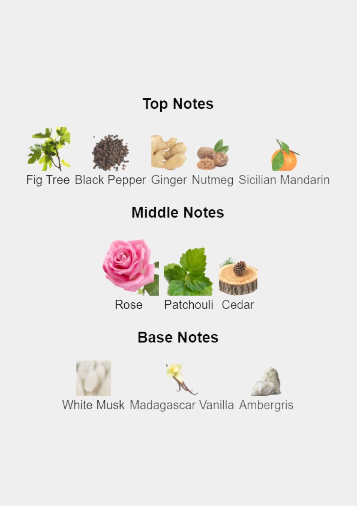 Mancera Purple Flowers for Unisex EDP 120mL