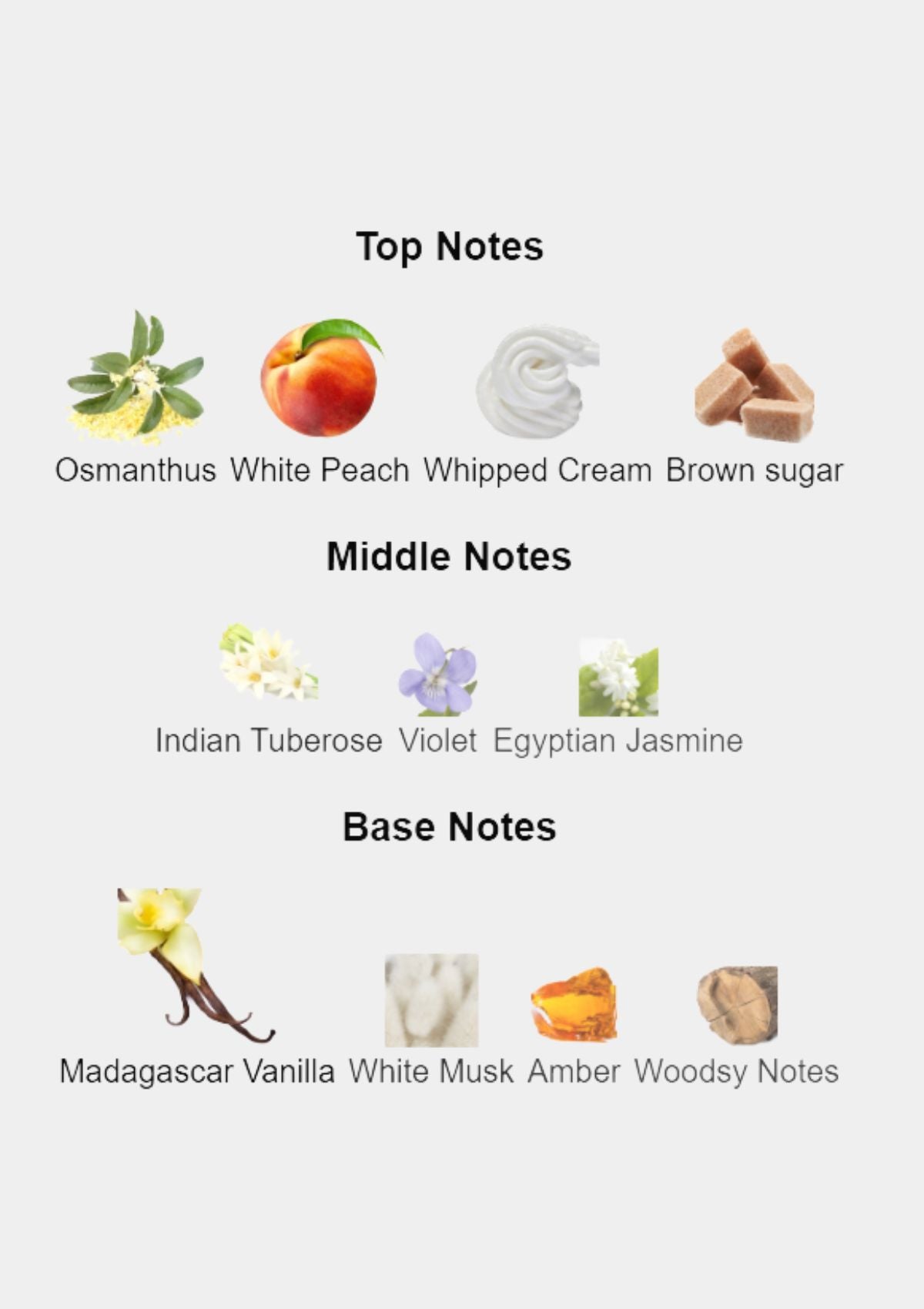 Mancera Vanille Exclusif for Unisex EDP 120mL