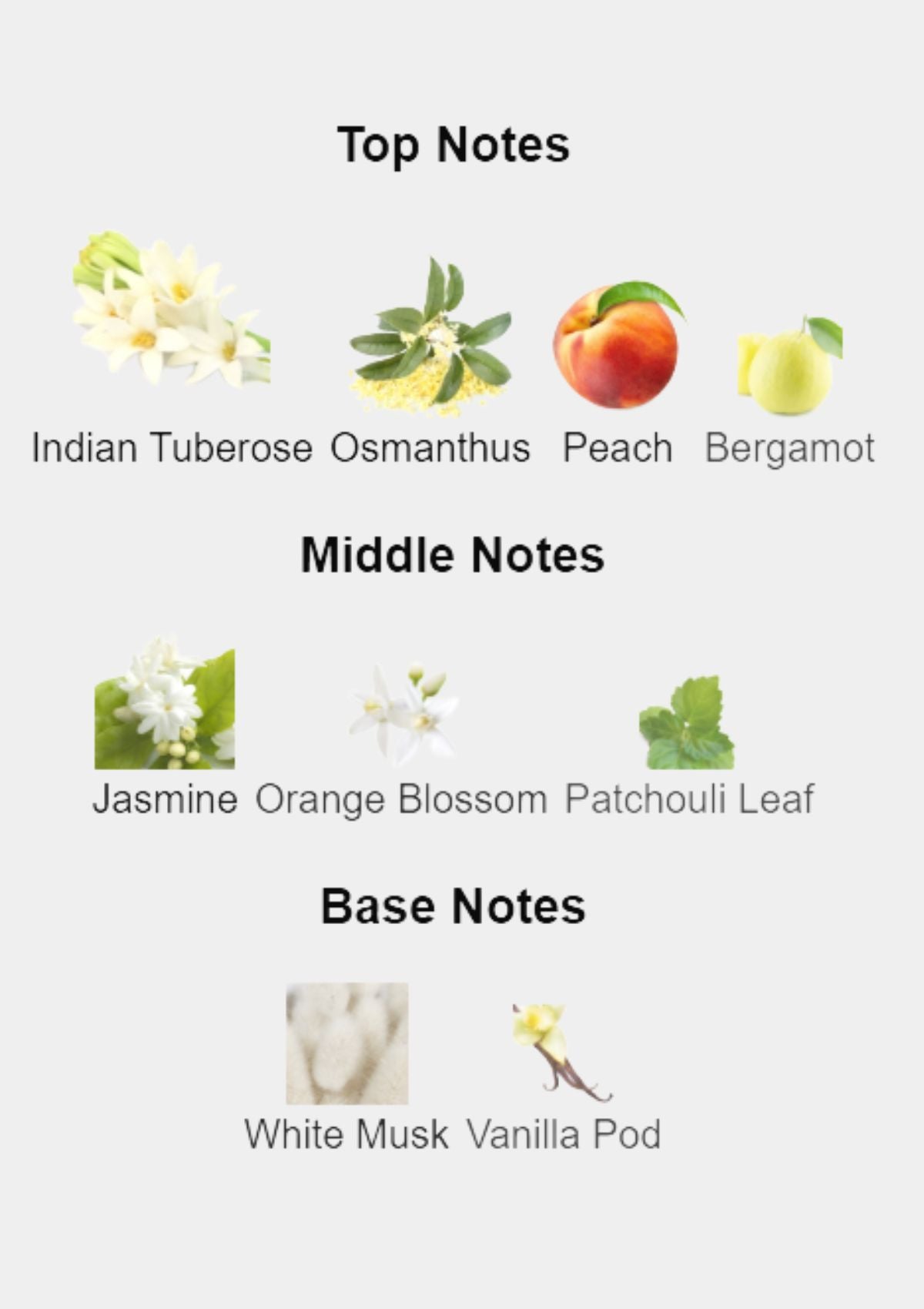 Mancera Wild Python for Unisex EDP 120mL