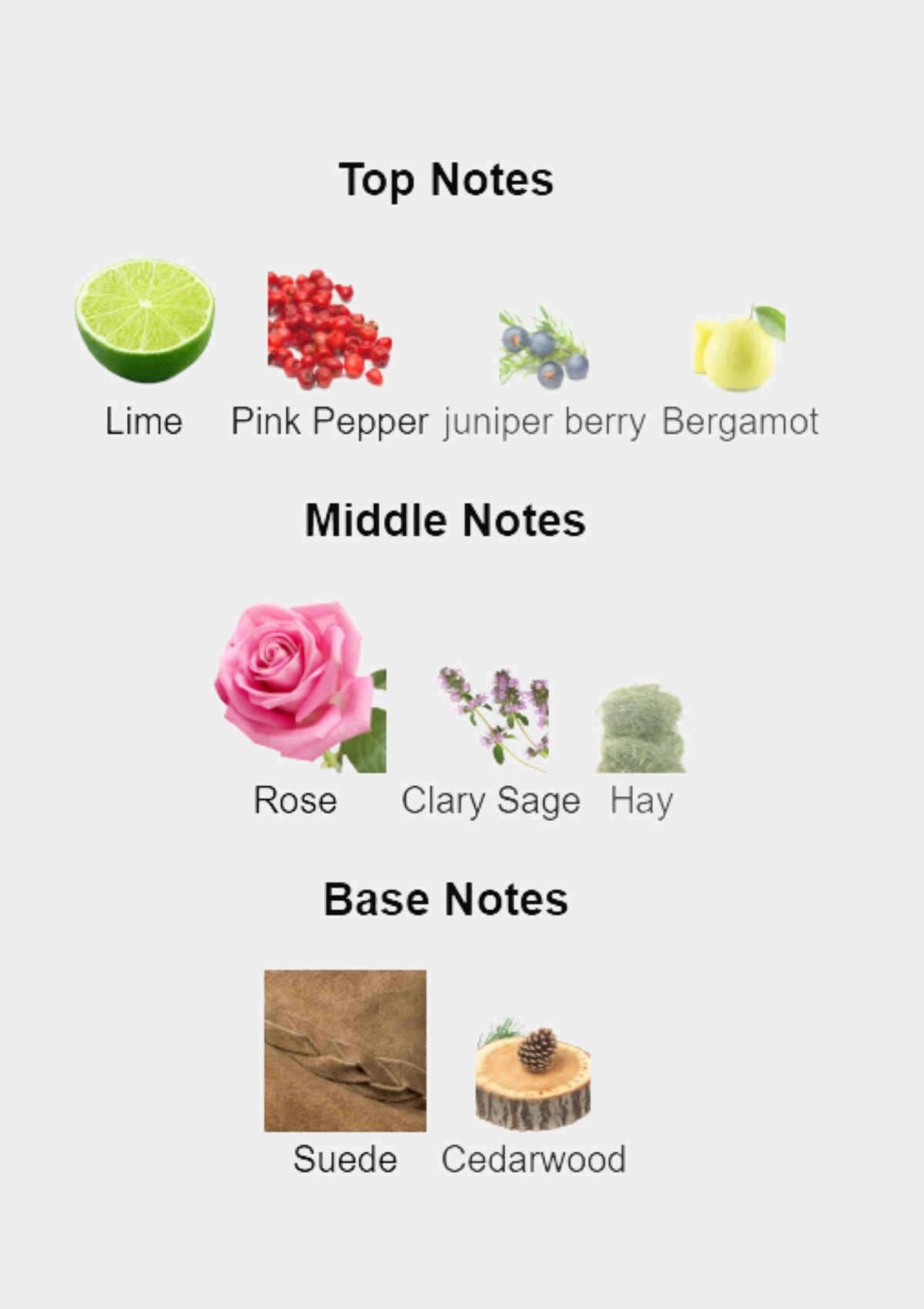 Memo French Leather for Unisex EDP 75mL