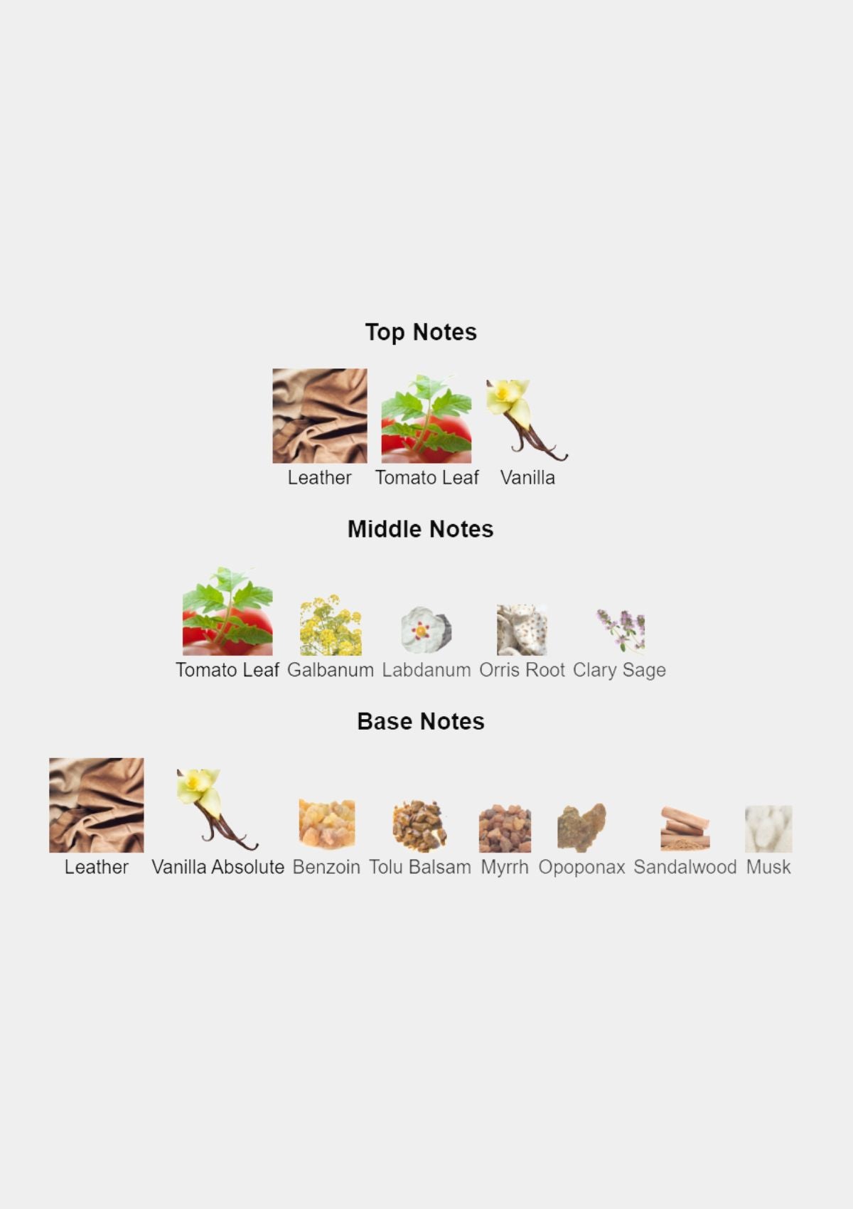 Memo Italian Leather for Men EDP 75mL