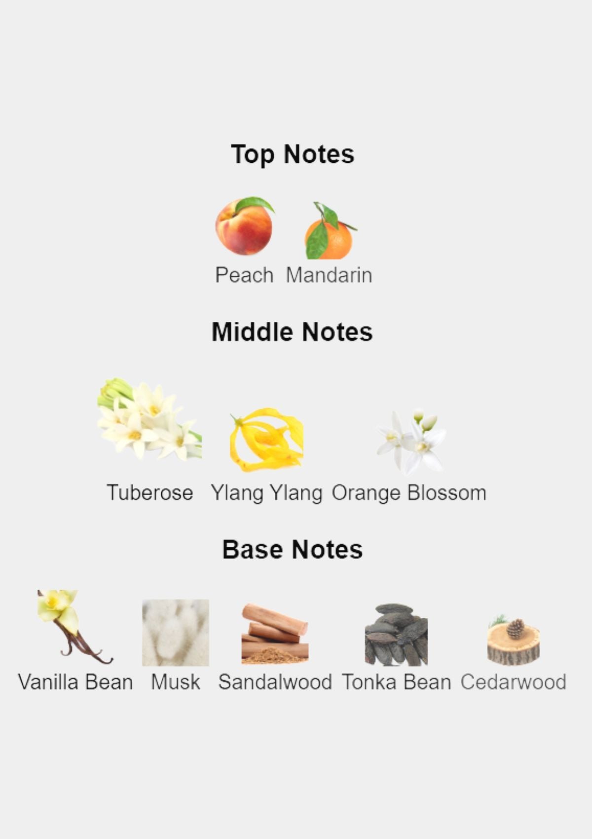 Memo Marfa for Unisex EDP 75mL