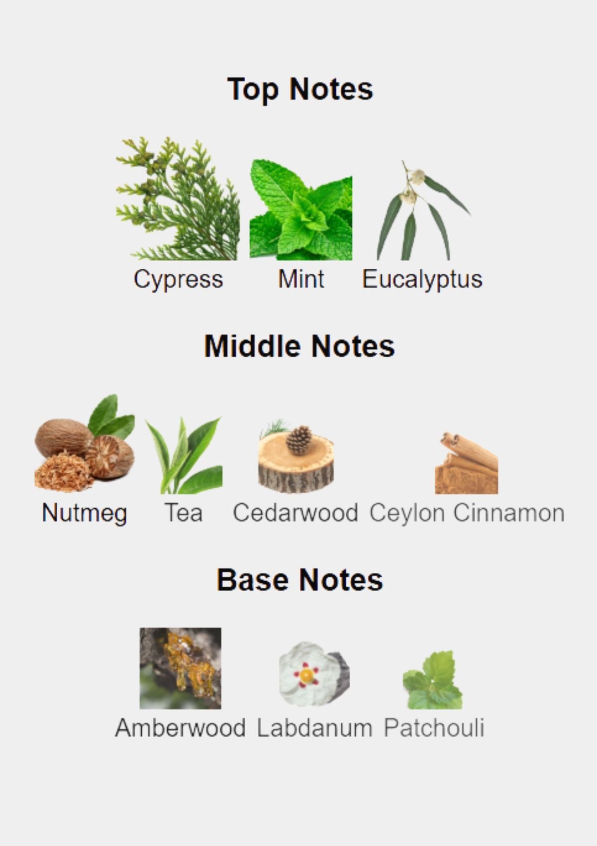 Min New York Coda for Unisex EDP 75mL