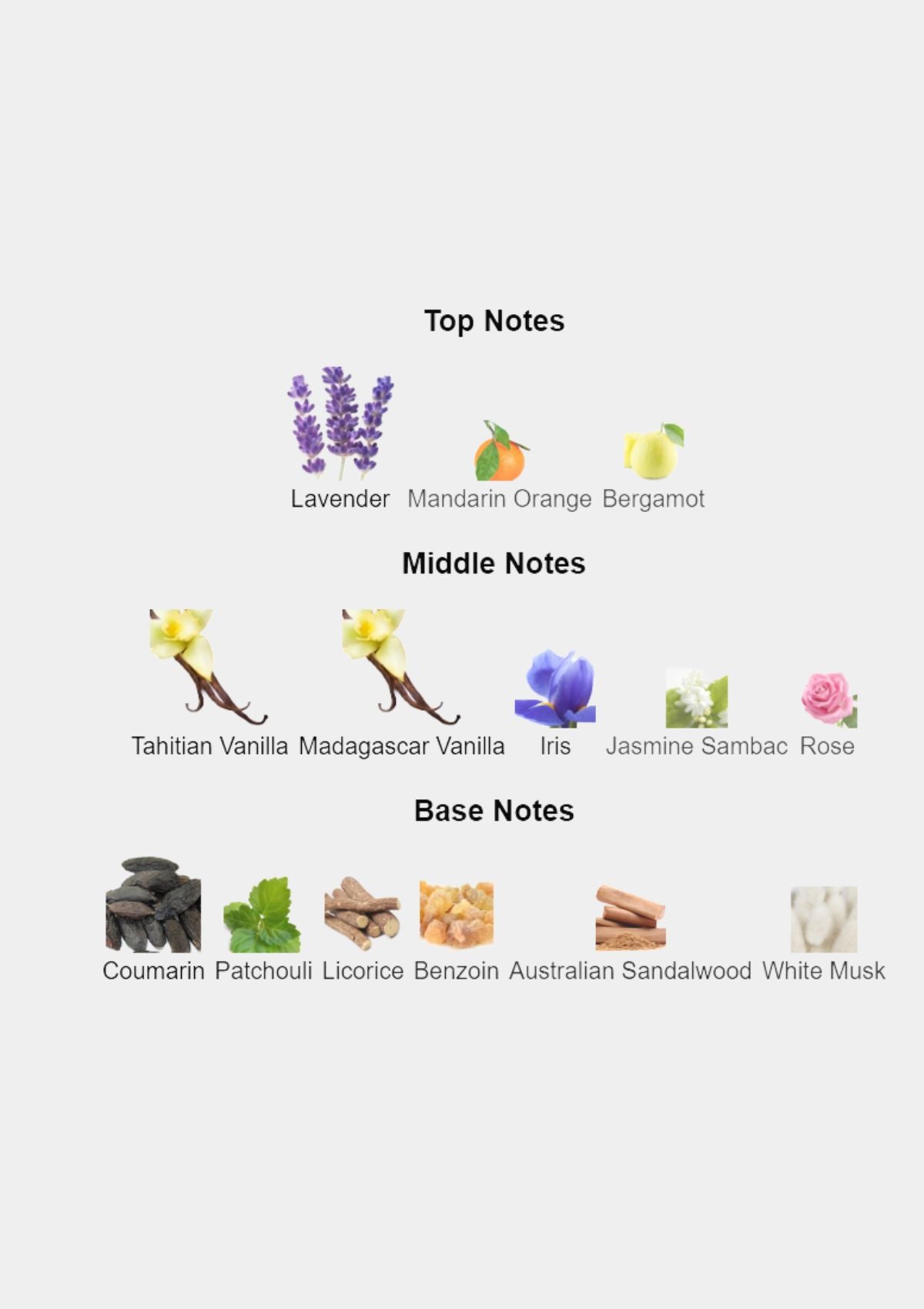 Mon Guerlain Intense for Women EDP 100mL