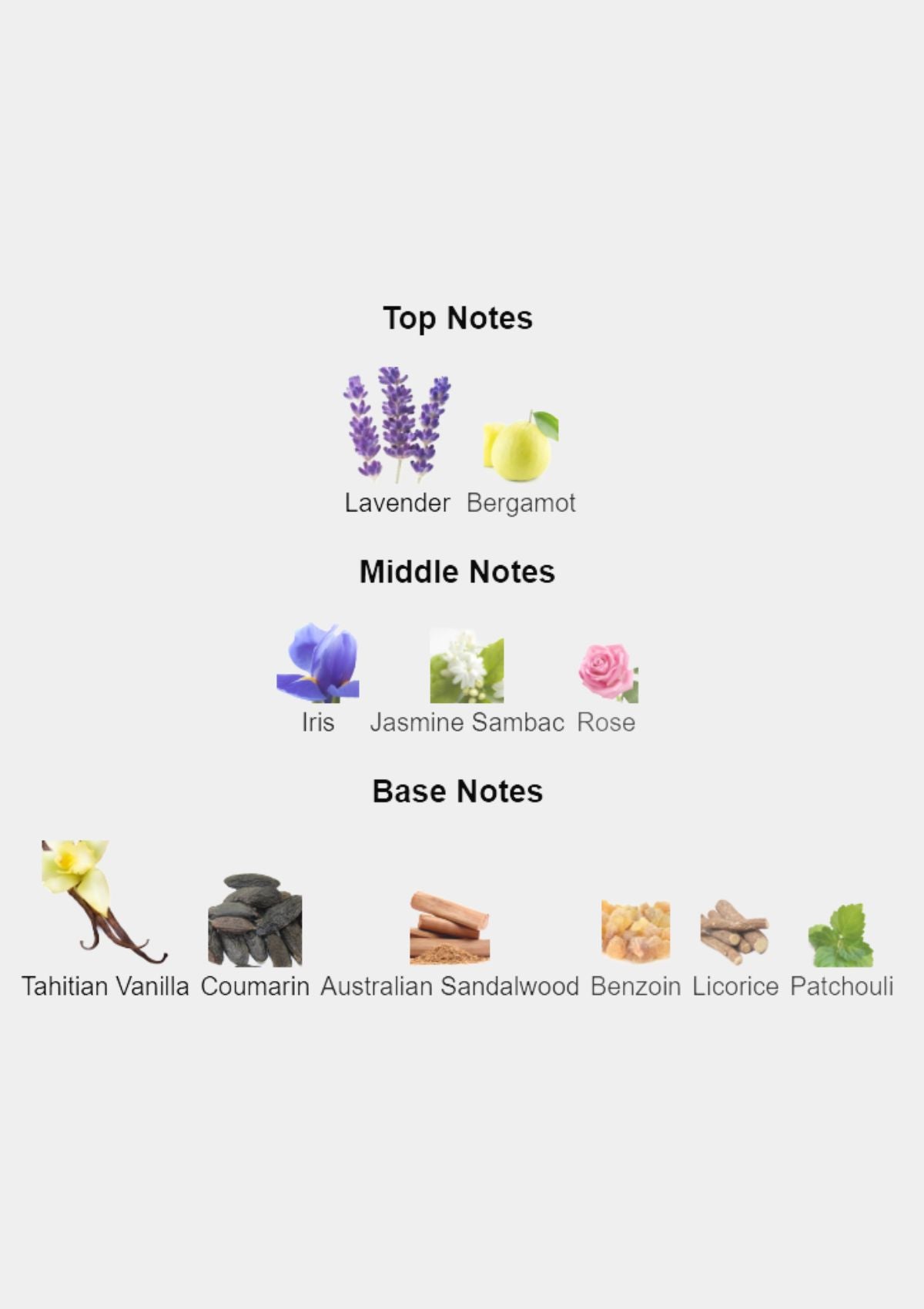 Mon Guerlain for Women EDP 100mL