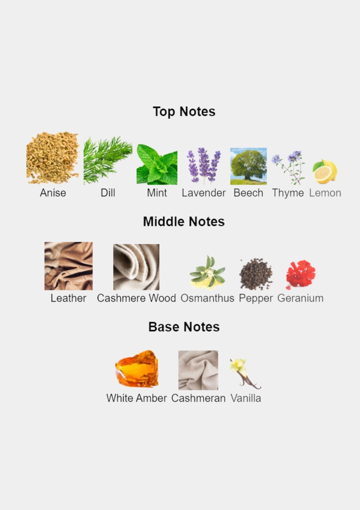 Mugler Alien Man for Men EDT 100ml