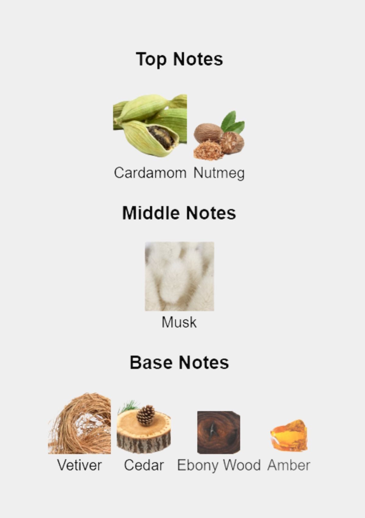 Narciso Rodriguez Bleu Noir for Men EDT 100mL