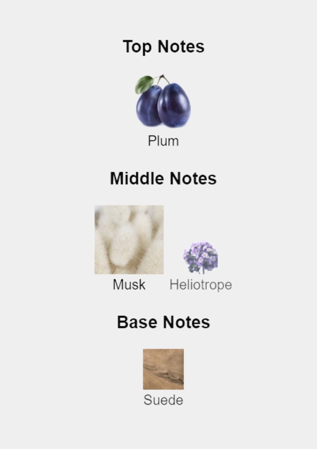 Narciso Rodriguez Musc Noir for Her EDP 100mL