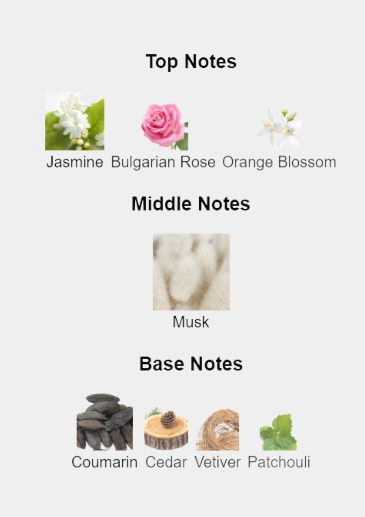 Narciso Rodriguez Narciso Poudree for Women EDP 90mL