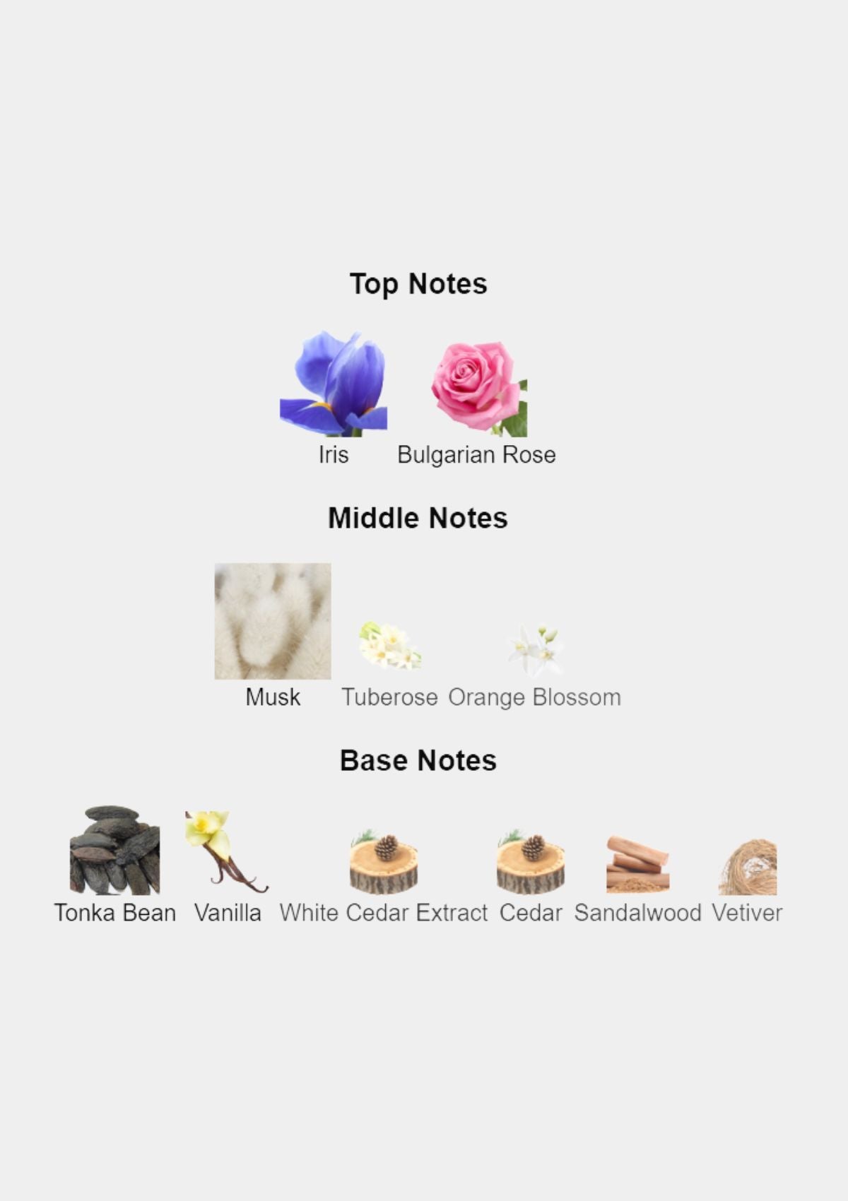 Narciso Rodriguez Narciso Rouge for Women EDP 90mL