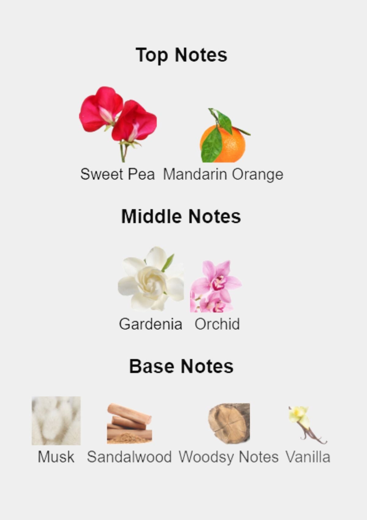 Nina Ricci Premier Jour for Women EDP 100mL