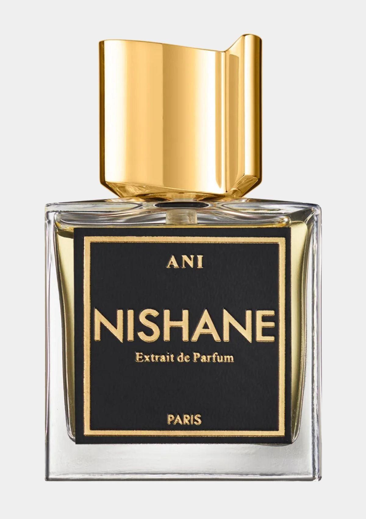 Nishane Ani Extrait de Parfum for Unisex 100mL