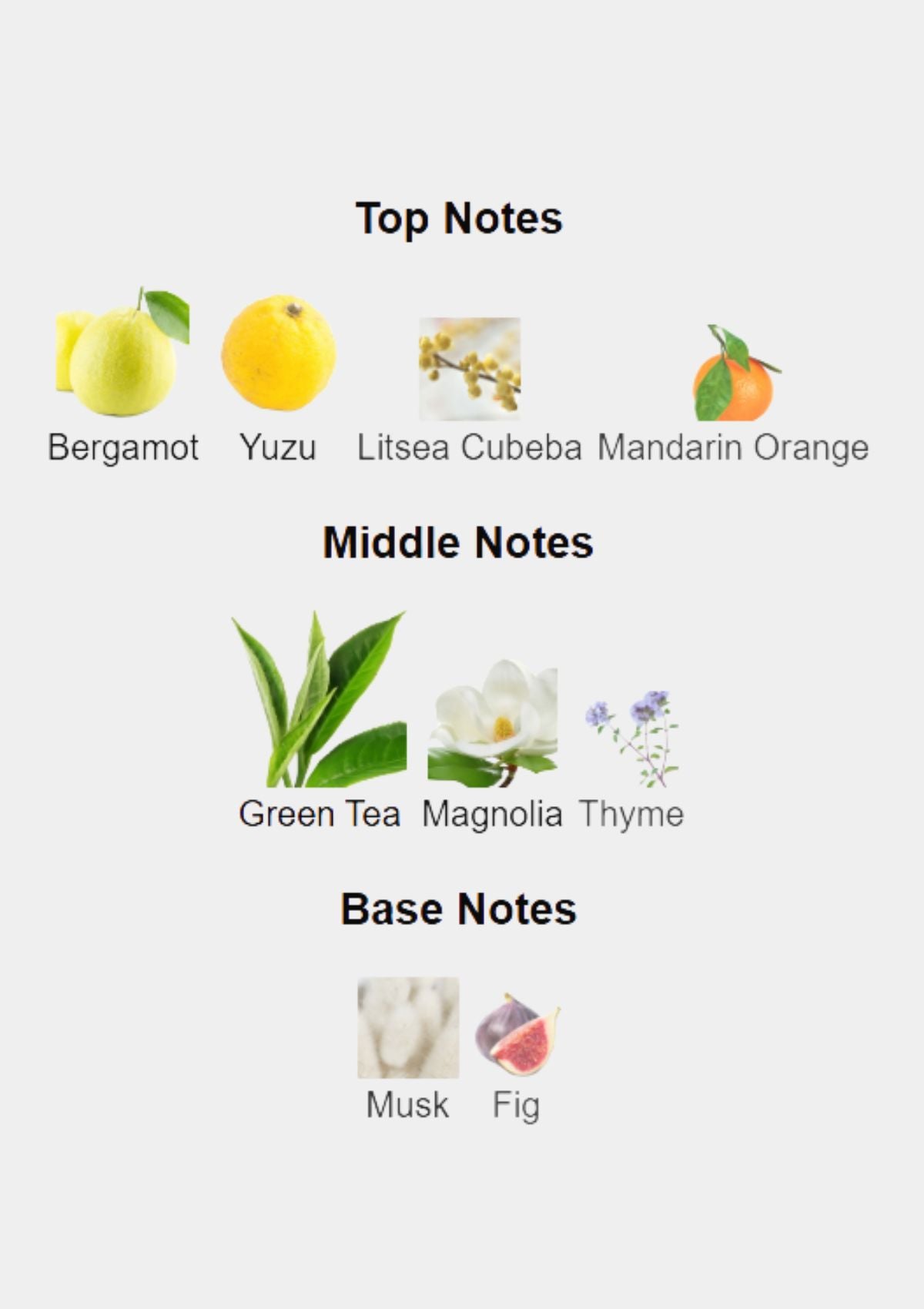 Nishane Wulong Cha X Extrait de Parfum for Unisex 100mL