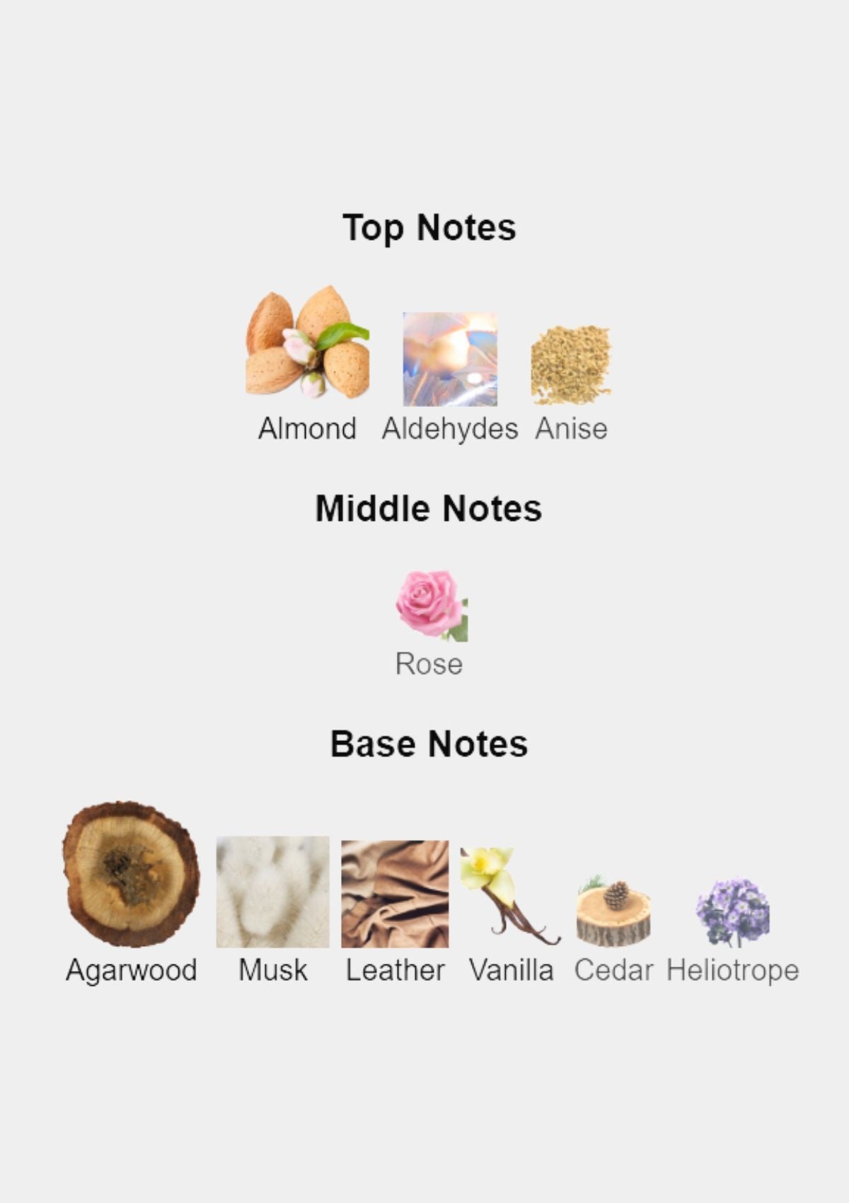 Orto Parisi Stercus Parfum for Unisex 50mL