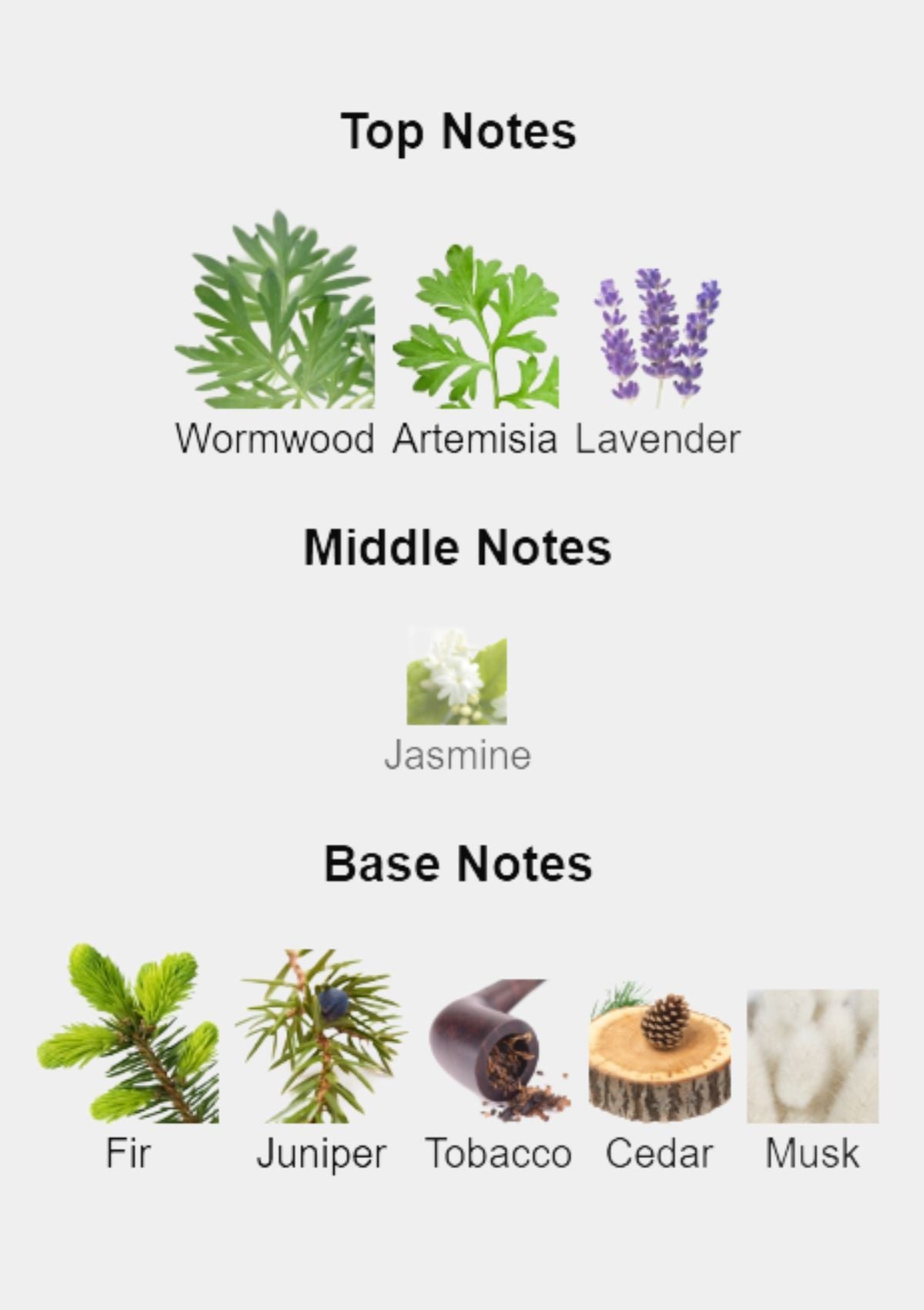 Orto Parisi Viride for Unisex EDP 50mL