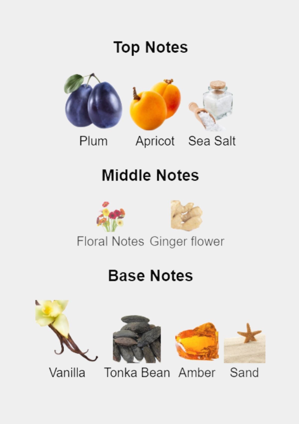 Paco Rabanne Olympea Legend for Women EDP 80mL