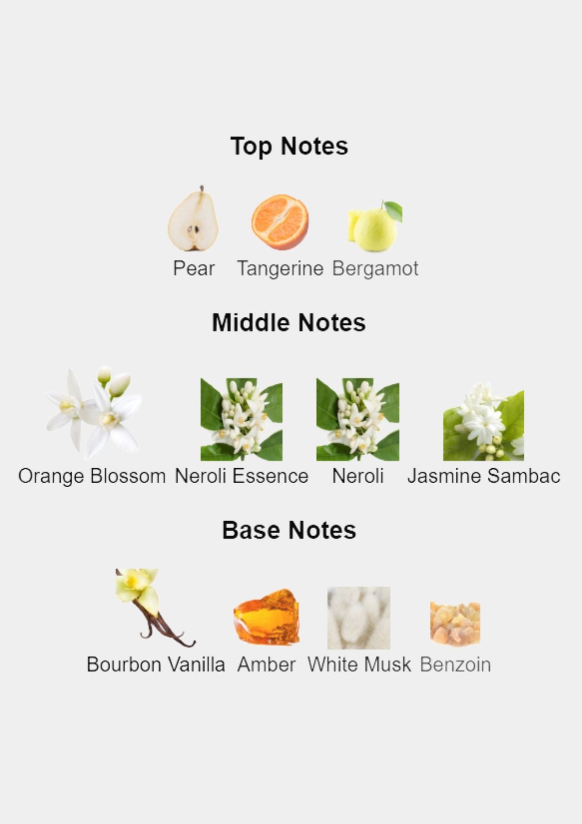 Prada Paradoxe for Women EDP 90mL