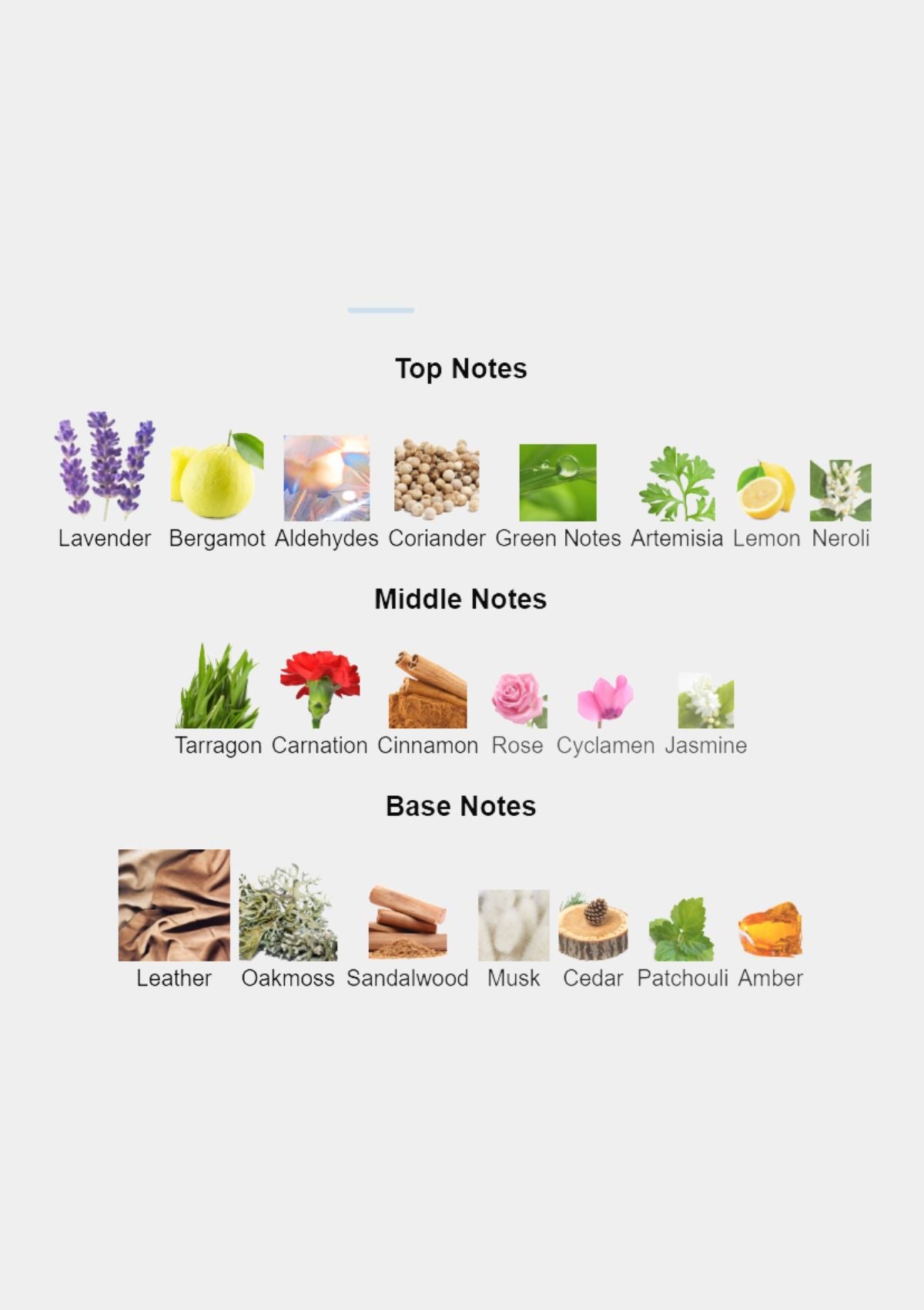 Ralph Lauren Safari for Men EDT 125mL