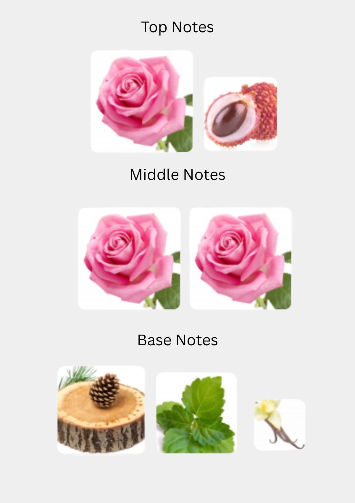 Reminiscence Rose Tentation Patchouli N Roses for Women EDP 100mL