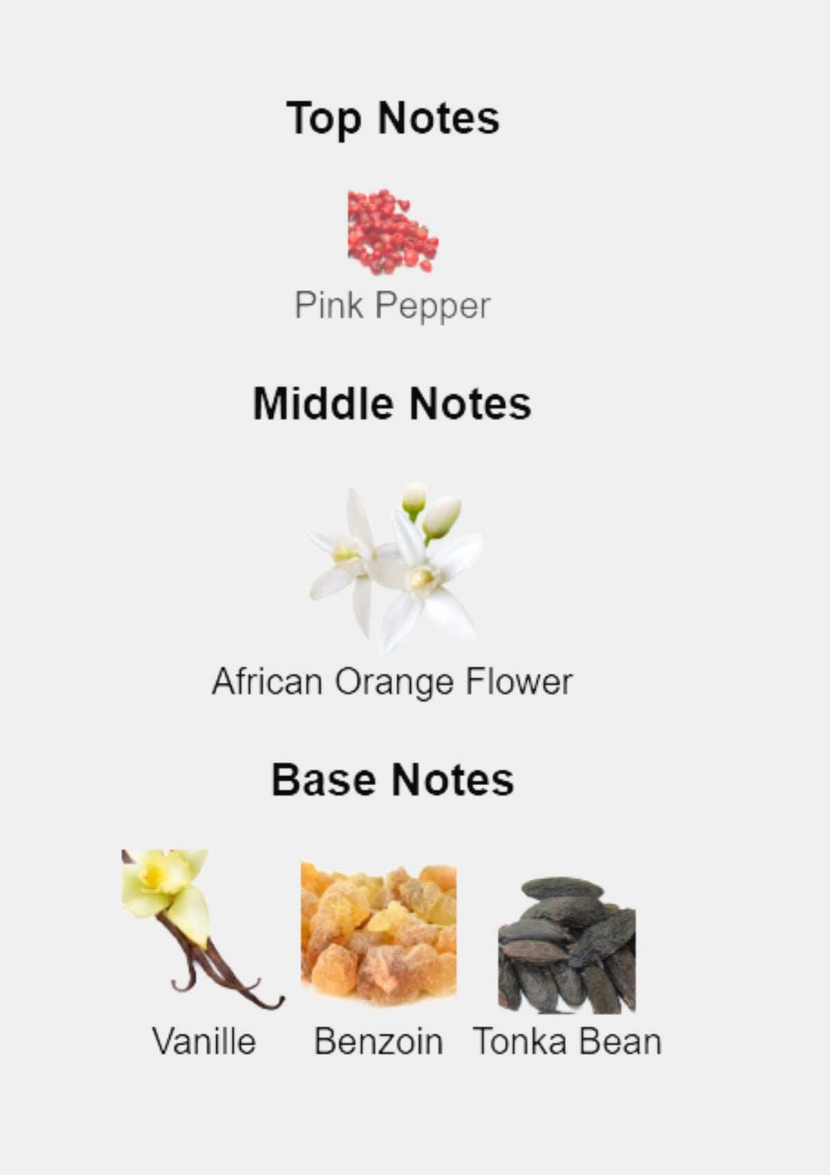 Roberto Cavalli for Women EDP 50mL